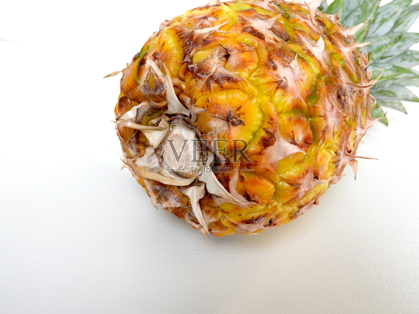 菠萝19照片摄影图片