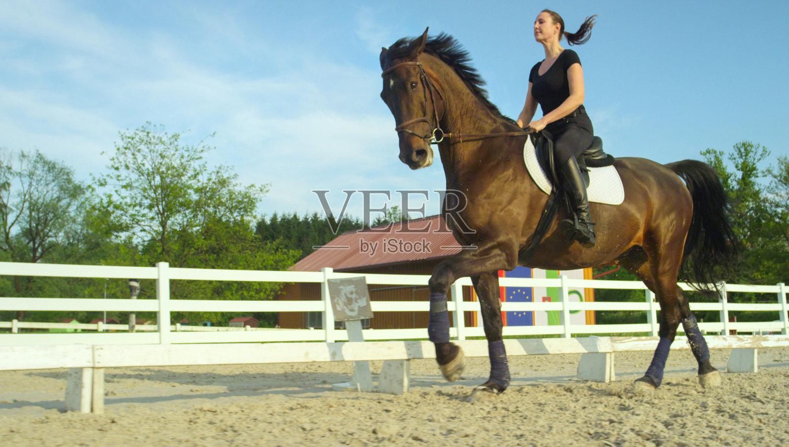 低角度:在阳光明媚的日子里,活泼的女孩骑着她的马在沙质竞技场里小跑照片摄影图片