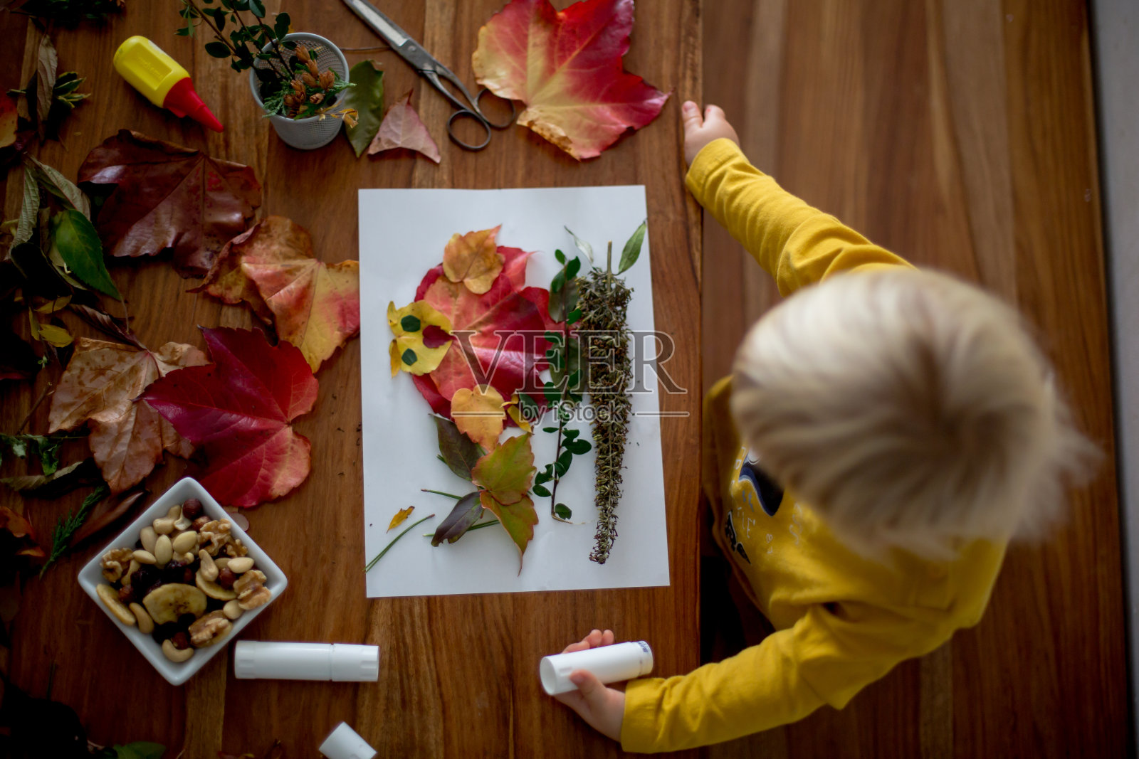 可爱的孩子,蹒跚学步的男孩,用胶水涂抹树叶照片摄影图片