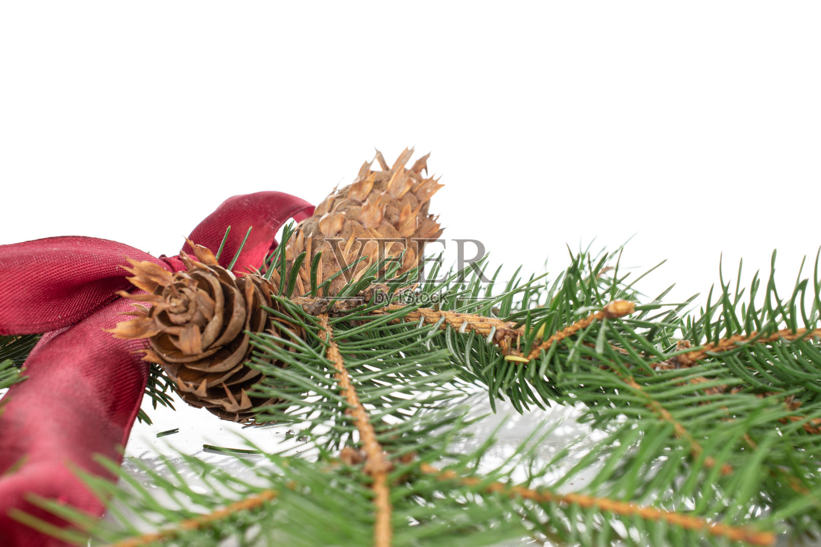 圣诞树的树枝孤立在白色照片摄影图片