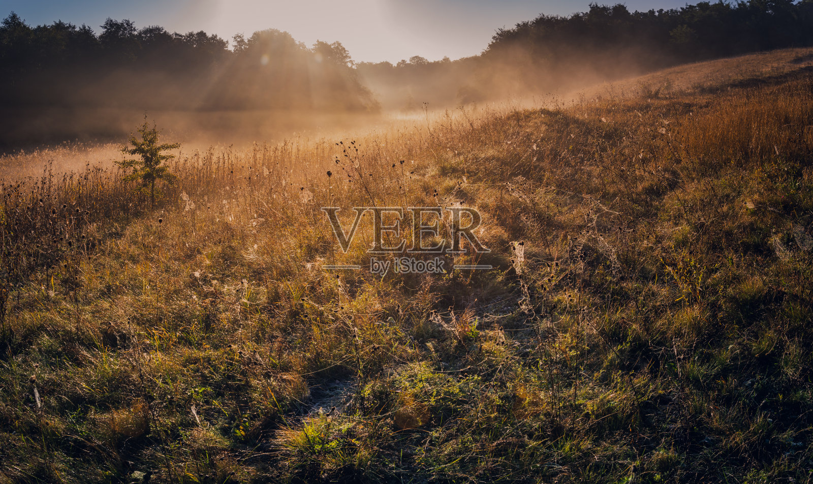 日出河照片摄影图片