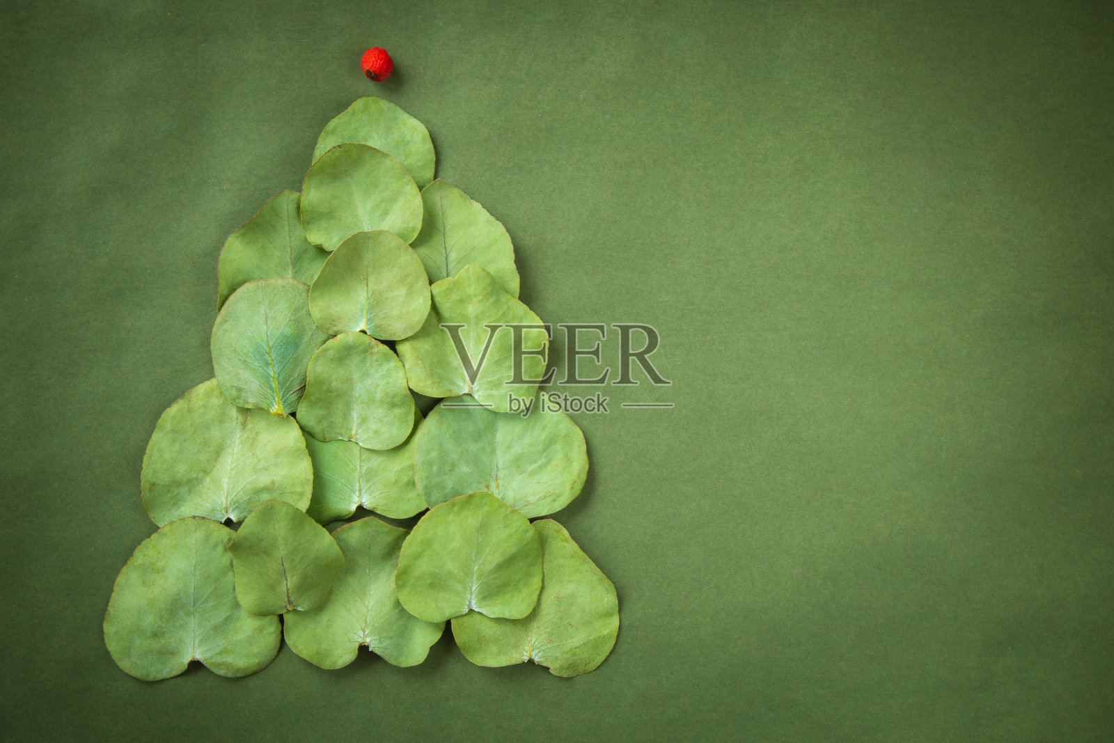 由桉树叶和月桂果制成的圣诞树静物照片摄影图片