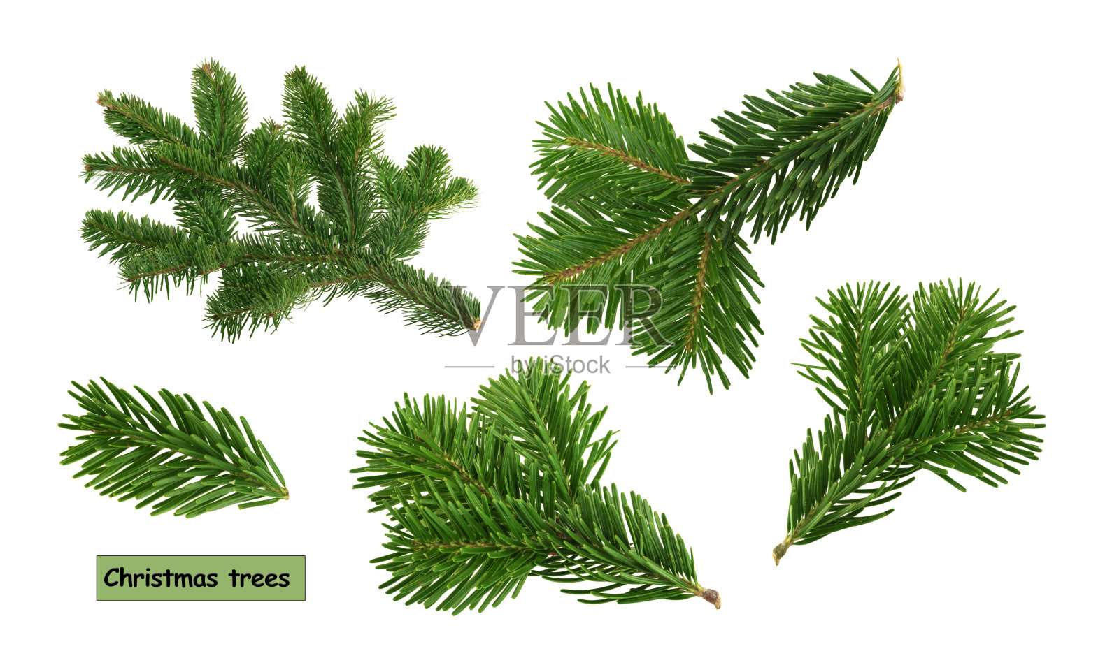 圣诞树孤立在白色背景上照片摄影图片