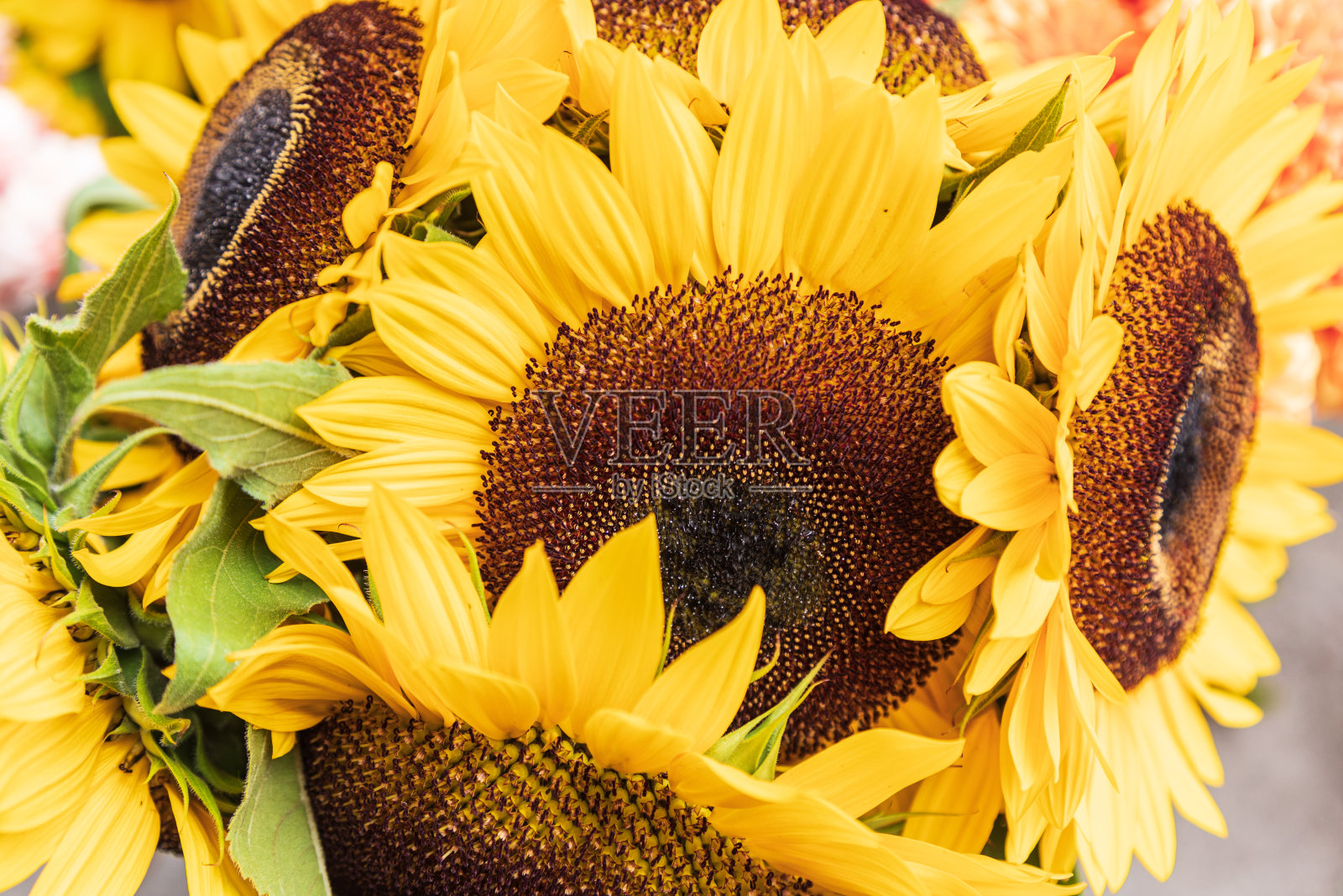 鲜切花在农贸市场出售照片摄影图片