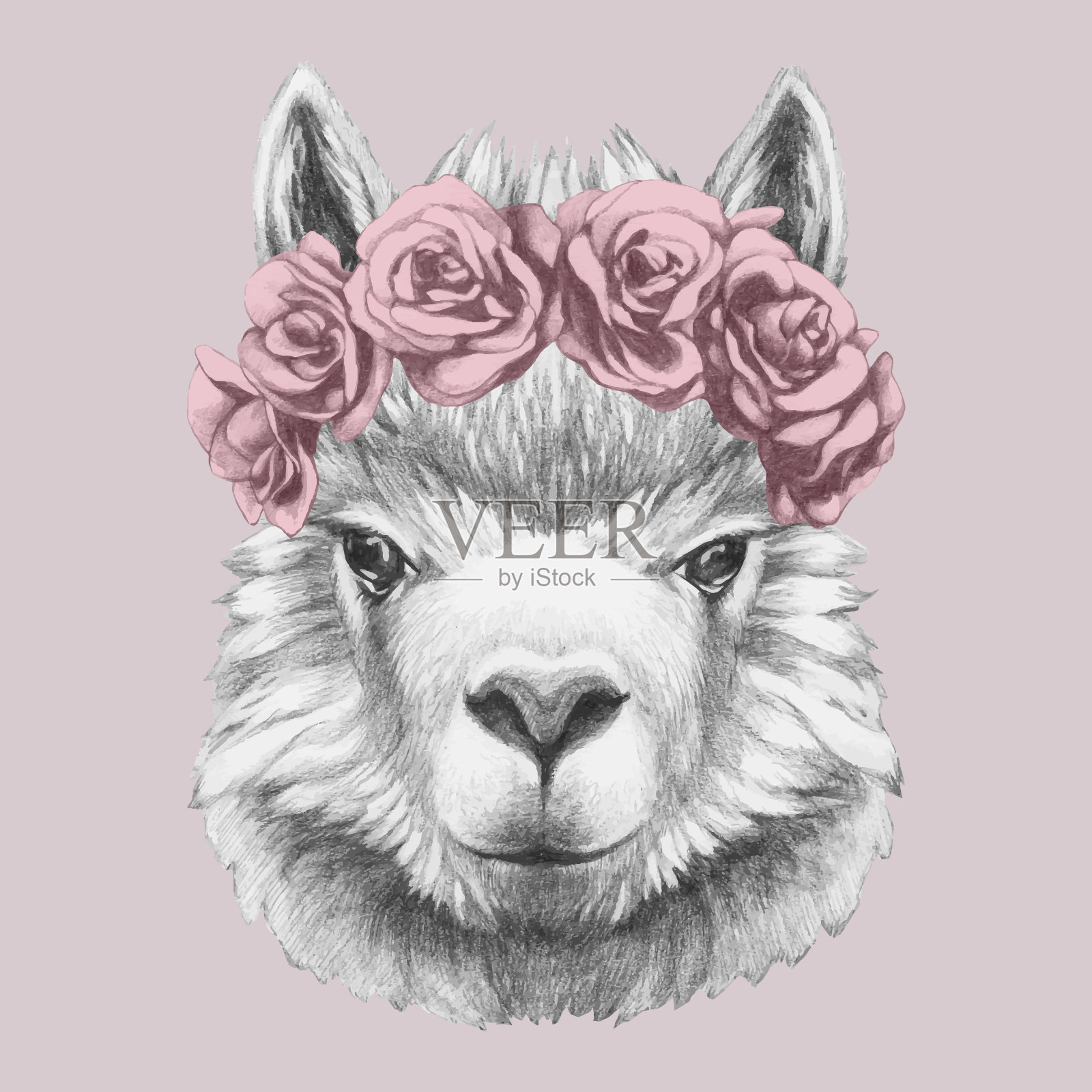 带花冠的人像。手绘插图。插画图片素材