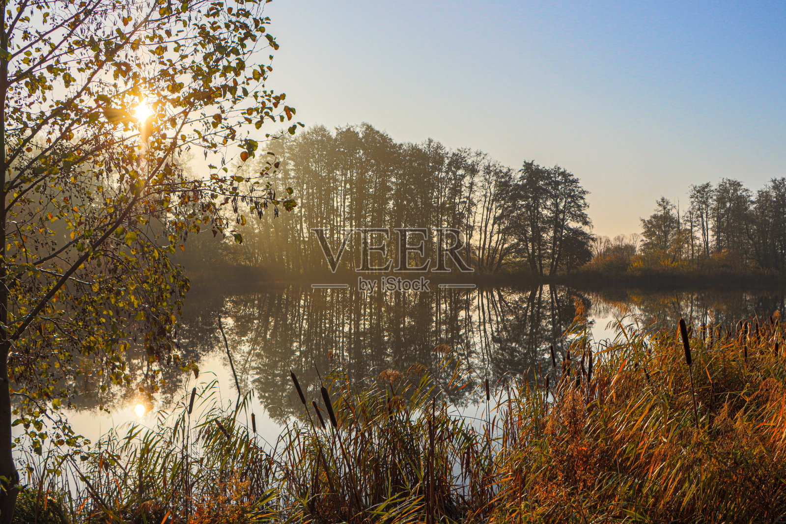在明亮的晨光中,一个湖泊排列着五颜六色的树木照片摄影图片