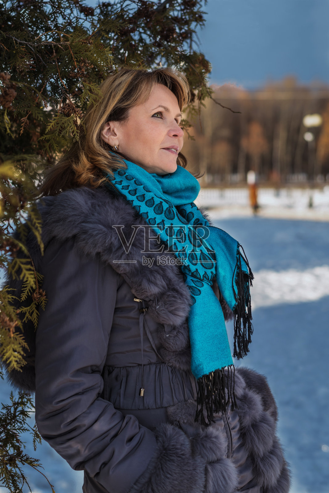 公园里穿着冬装的女人。肖像。照片摄影图片