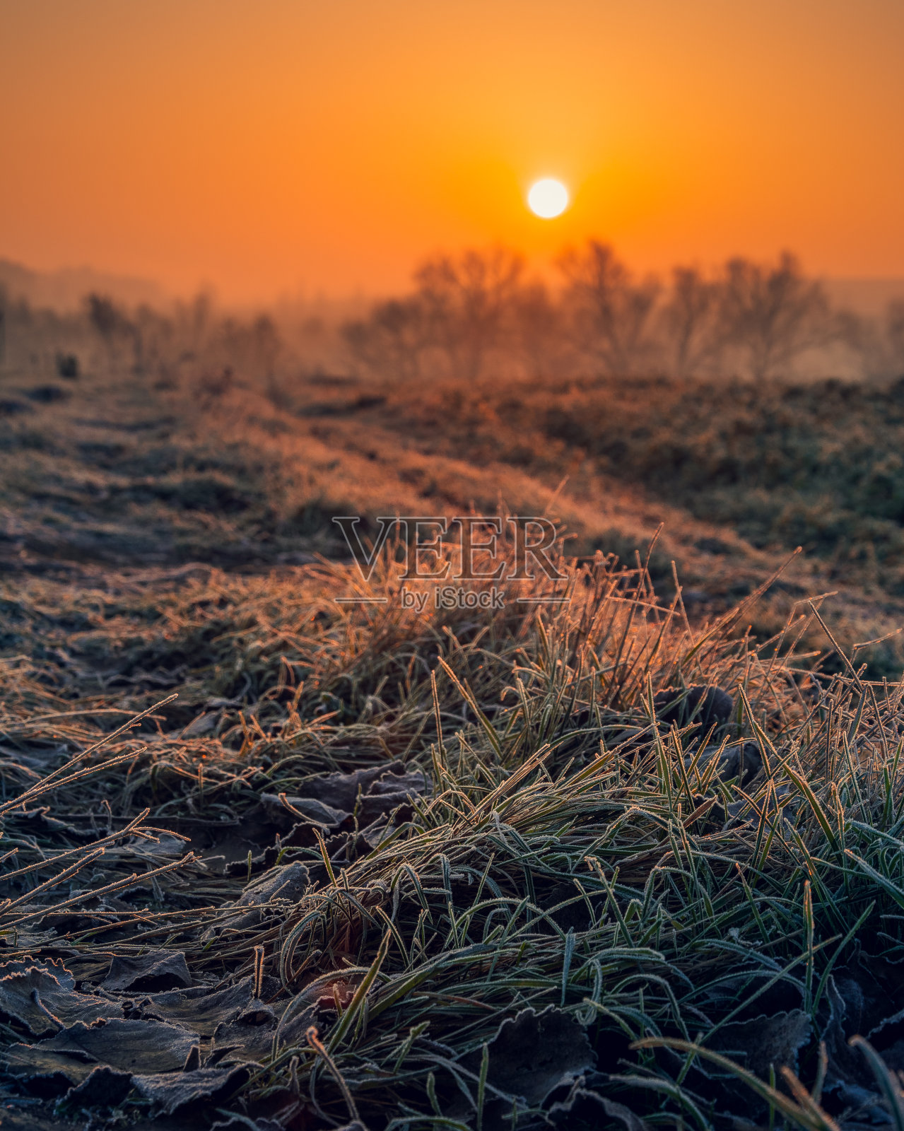 日出河照片摄影图片