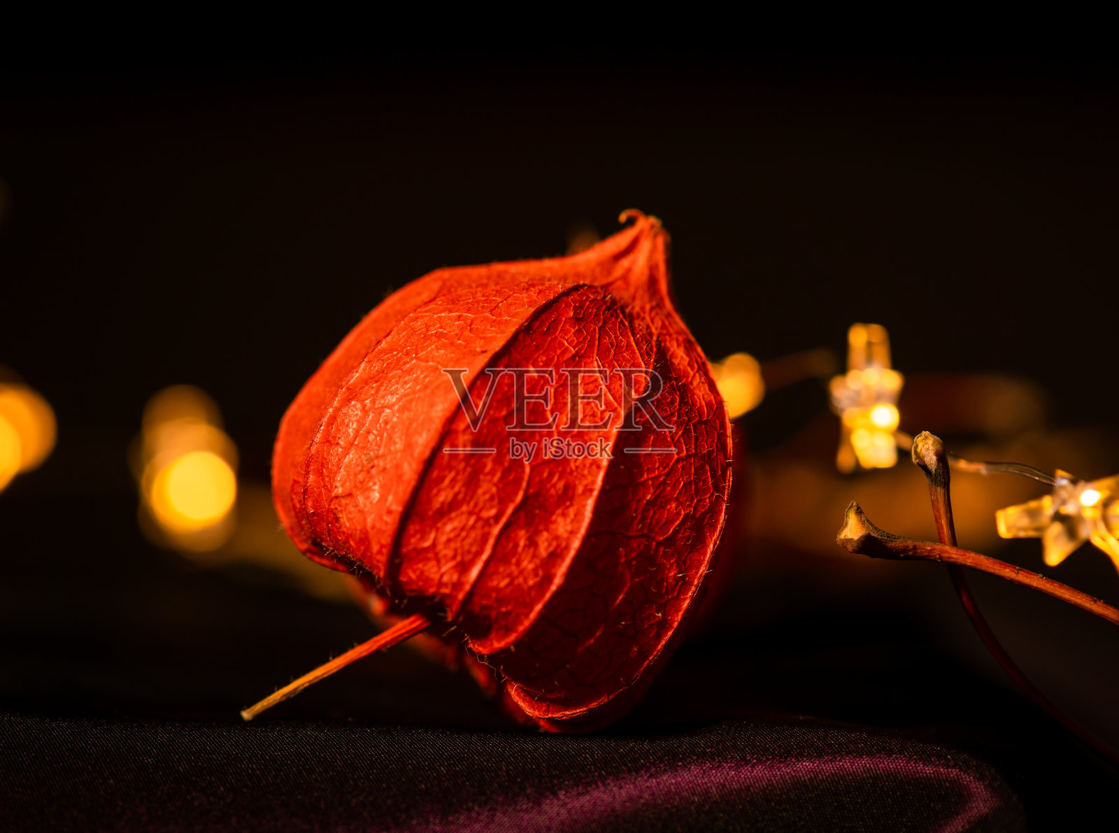 致以节日问候或圣诞快乐照片摄影图片