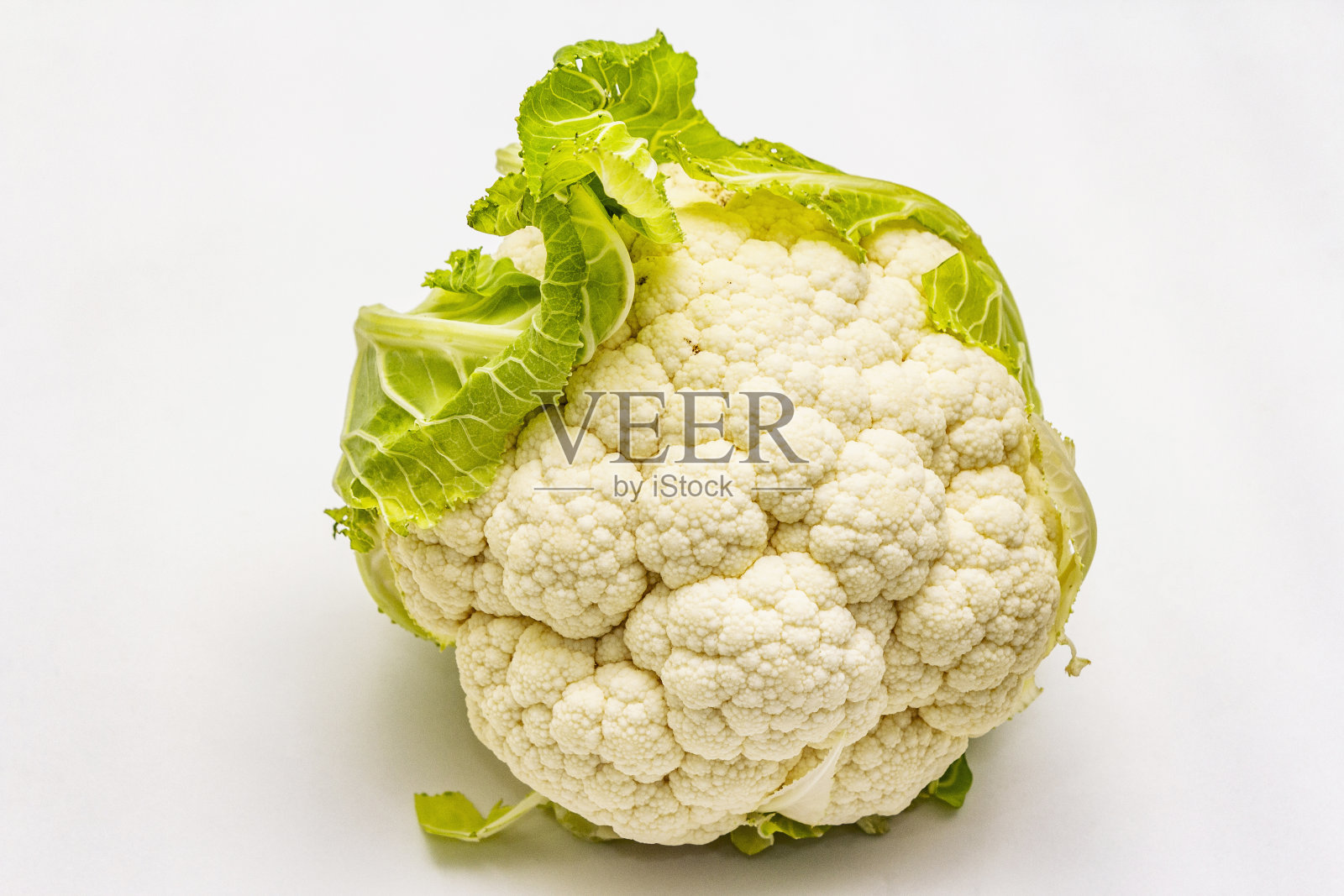 成熟的单一的菜花。新鲜整颗卷心菜,绿叶。在白色背景上隔离照片摄影图片