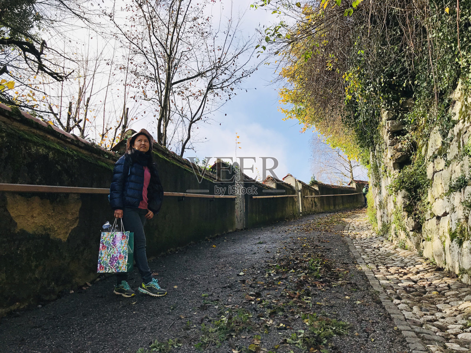 泰国人在斯洛文尼亚的秋天愉快地旅游。照片摄影图片