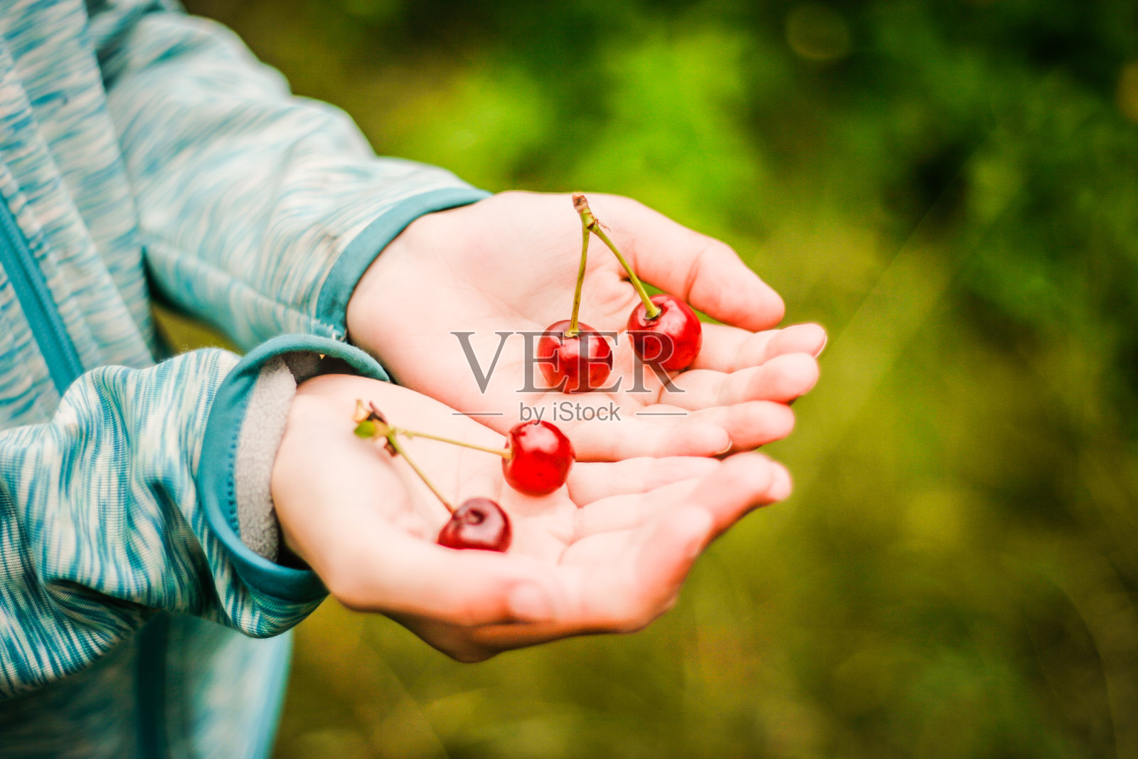 在花园里,孩子手里拿着樱桃照片摄影图片