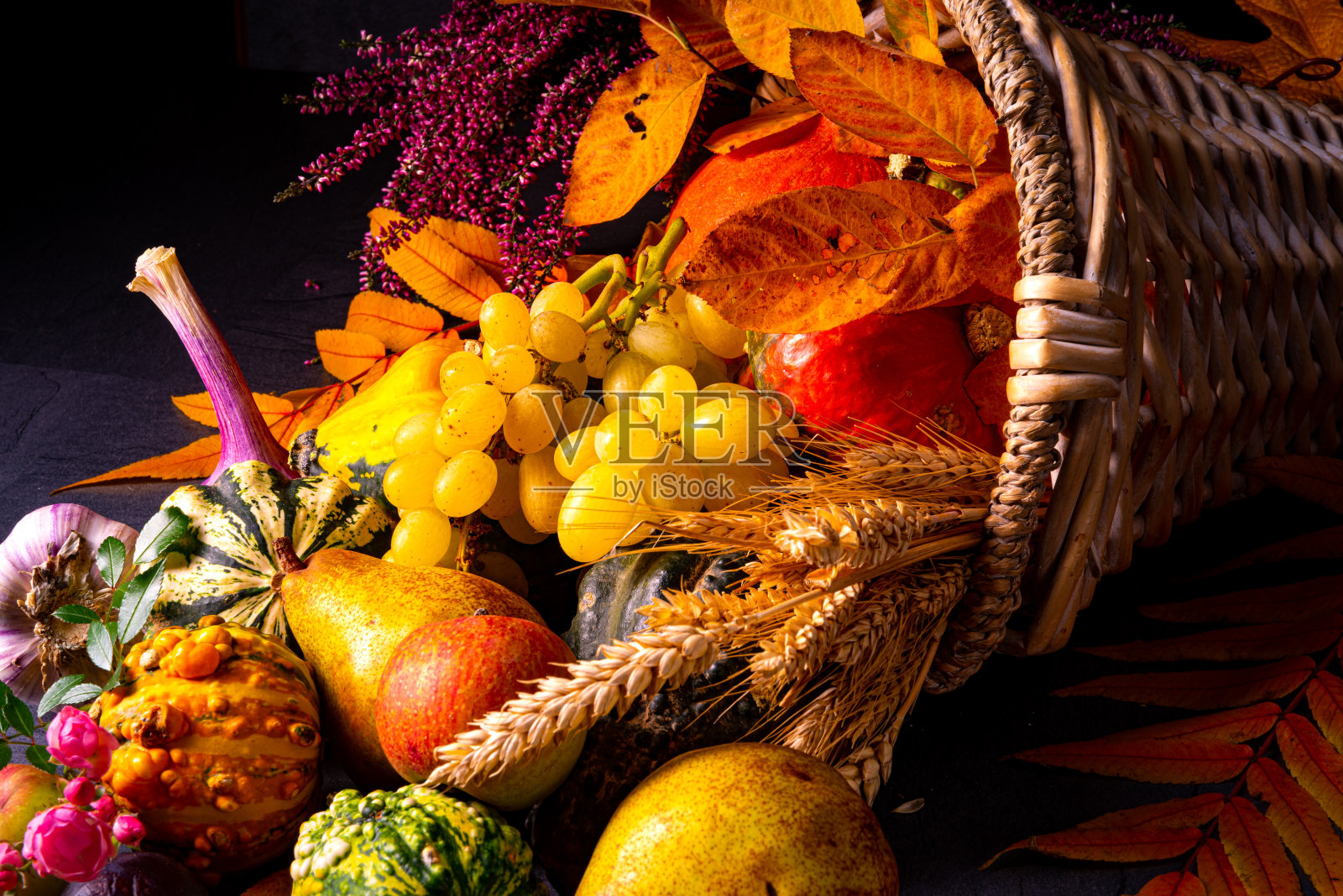 美丽和秋天的丰饶照片摄影图片