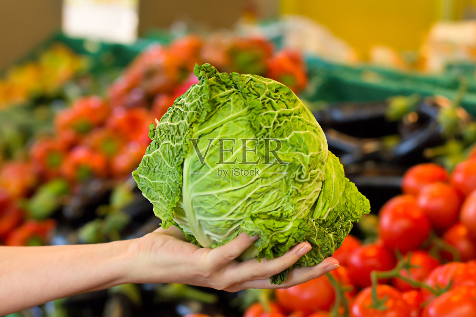 在超市挑选白菜的女人的手。健康食品的概念,生物,素食,饮食。照片摄影图片