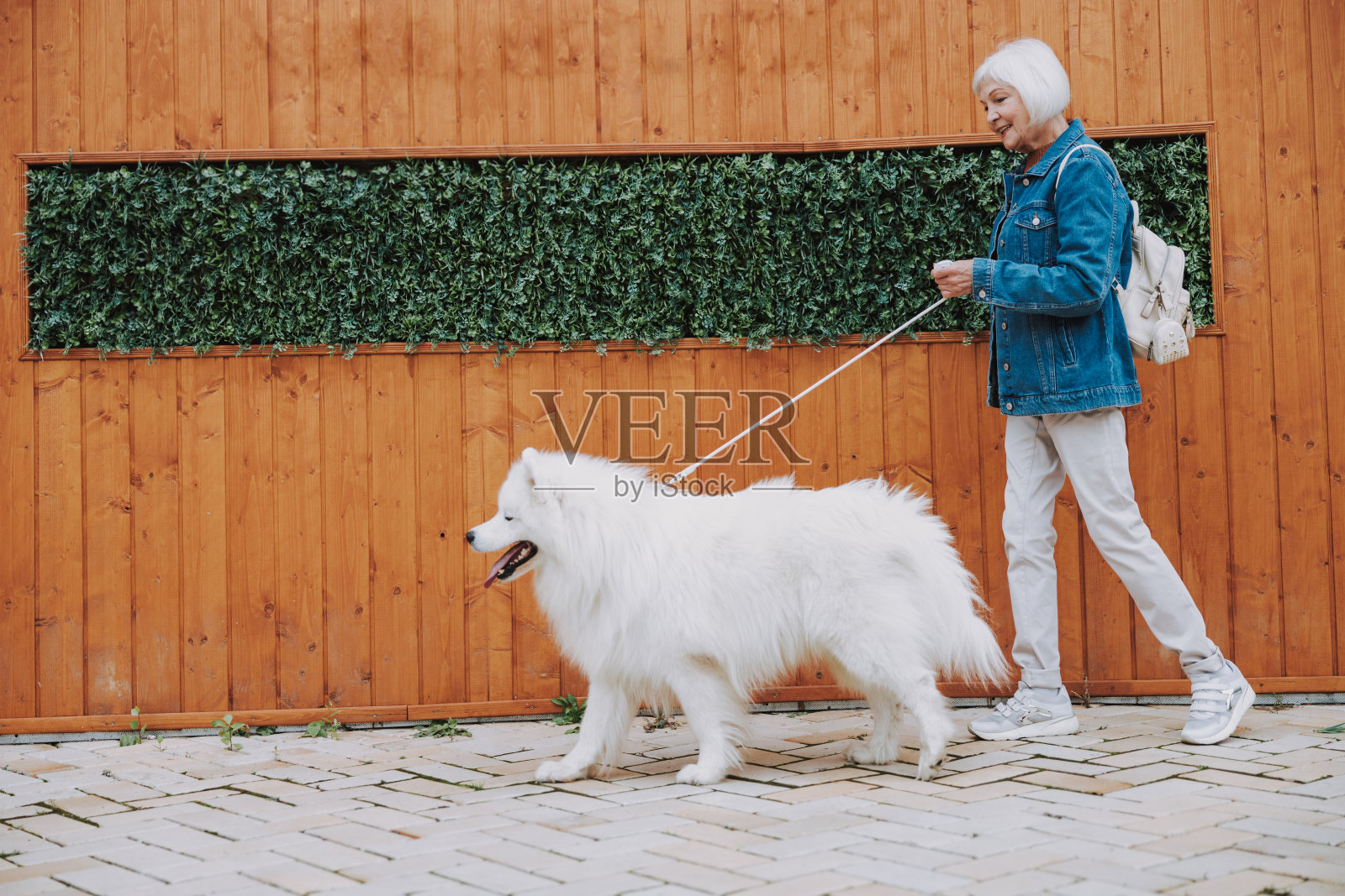 老太太和她的宠物去公园照片摄影图片