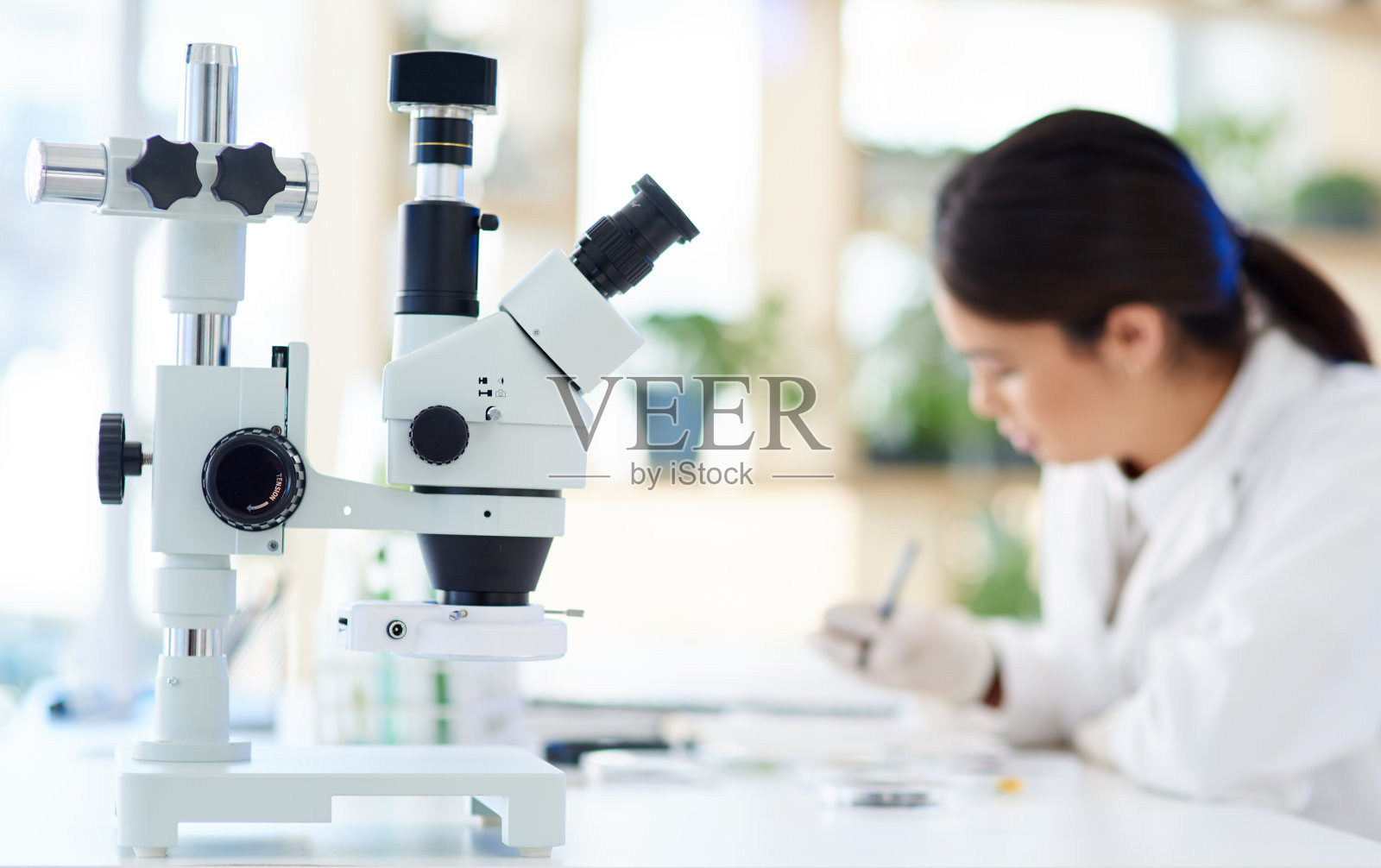 又有一天能有新发现照片摄影图片