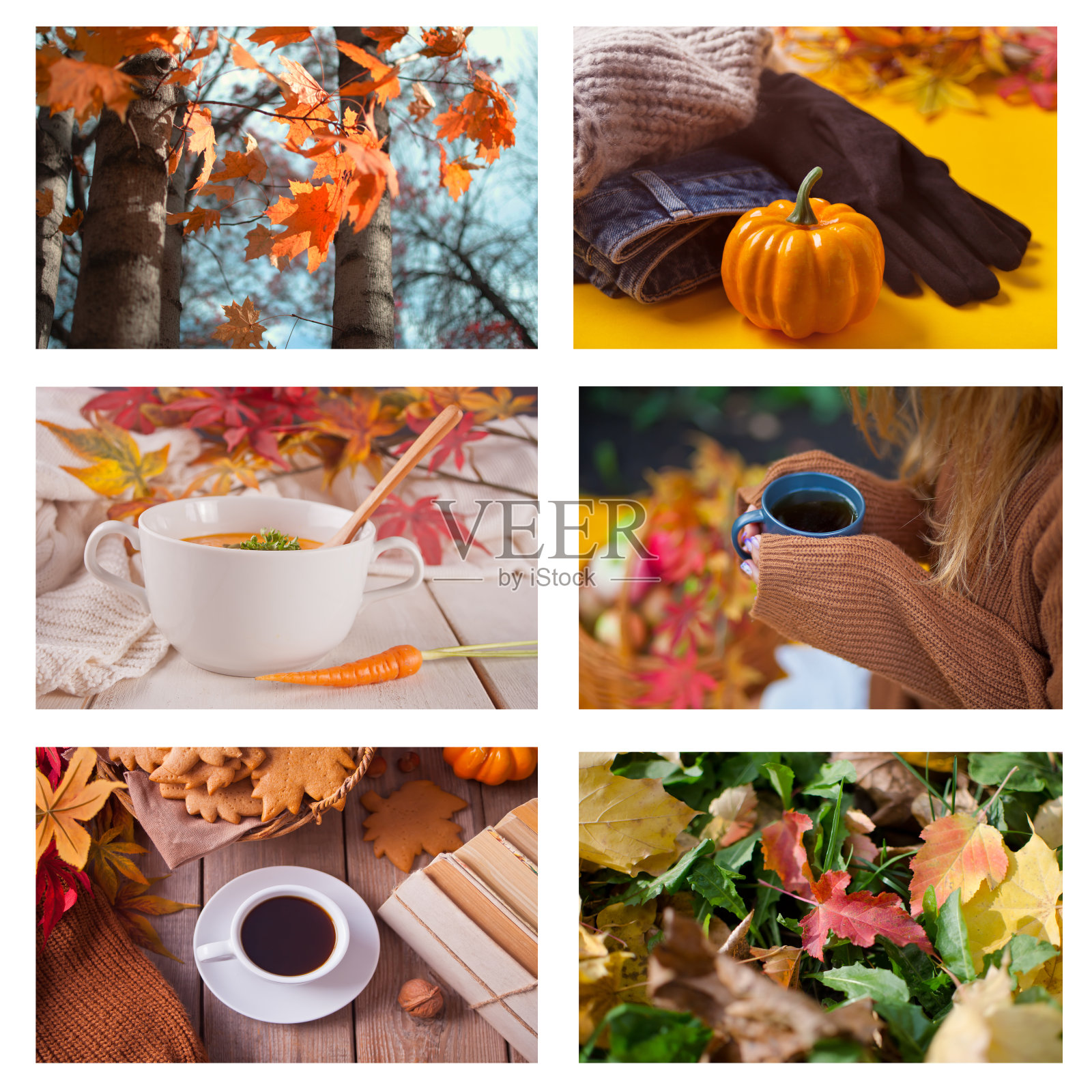秋季拼贴的六张照片。热杯咖啡,旧书,秋叶,胡萝卜汤。下降。温暖和舒适照片摄影图片