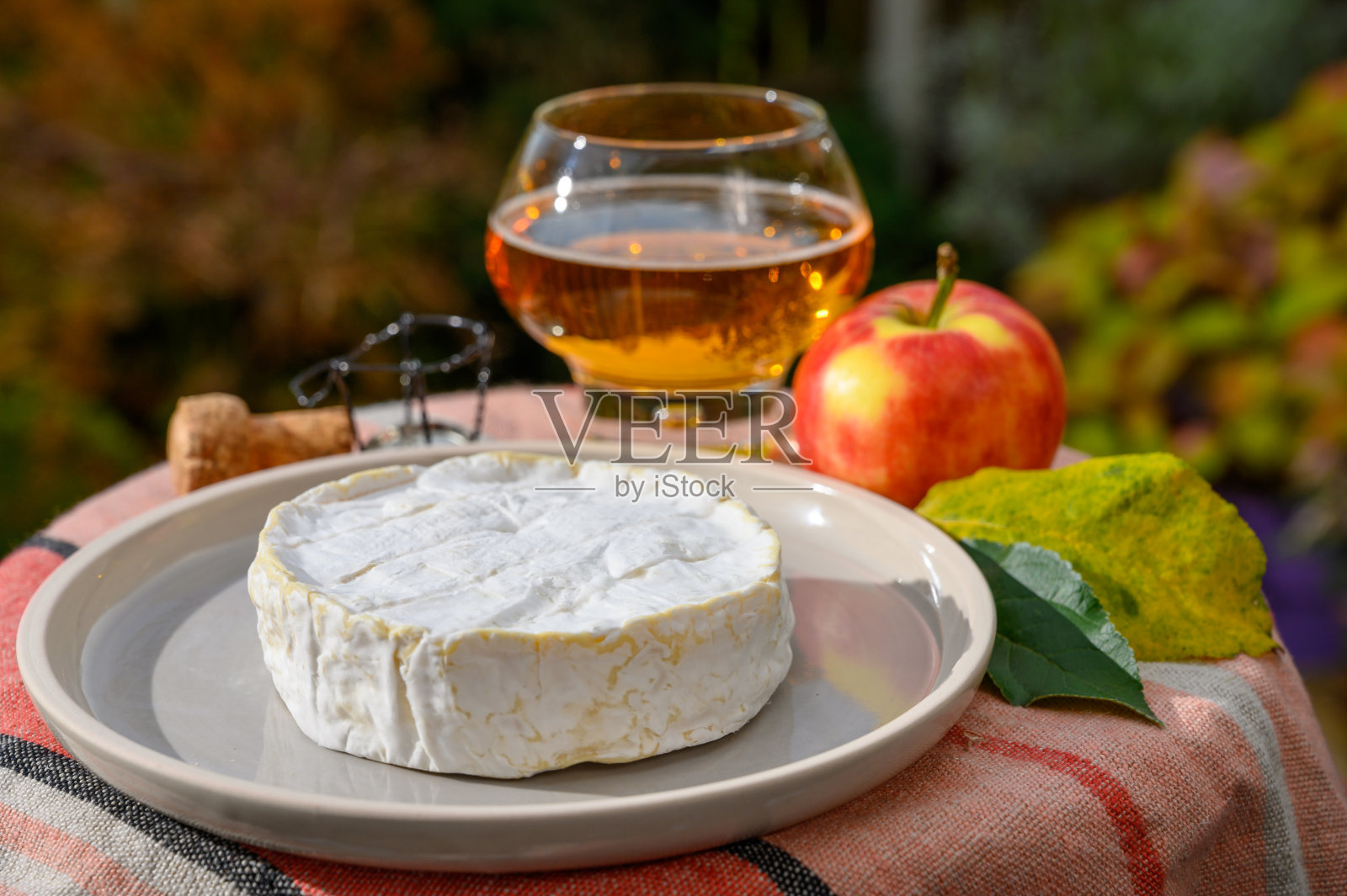 法式食物,柔软的奶酪与白色的布里干酪,卡门贝尔奶酪和金苹果酒来自布列塔尼秋季花园照片摄影图片