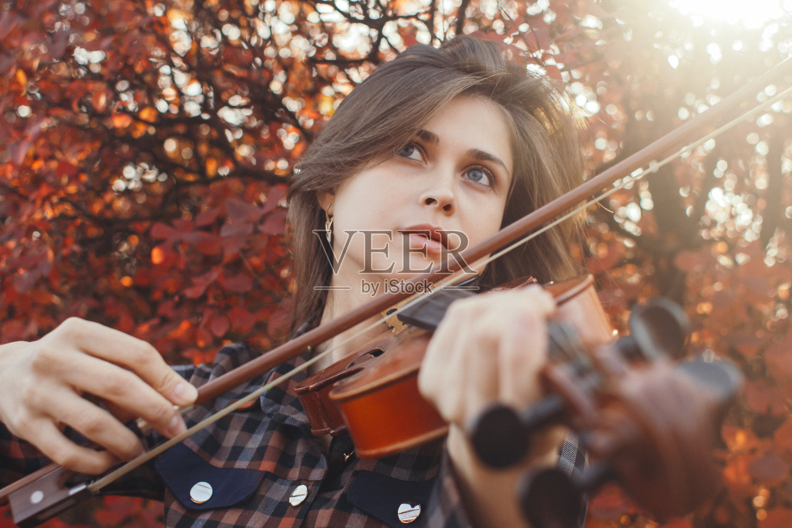 秋季人像:美女在红叶背景下演奏小提琴,享受艺术,爱好与音乐生活方式照片摄影图片