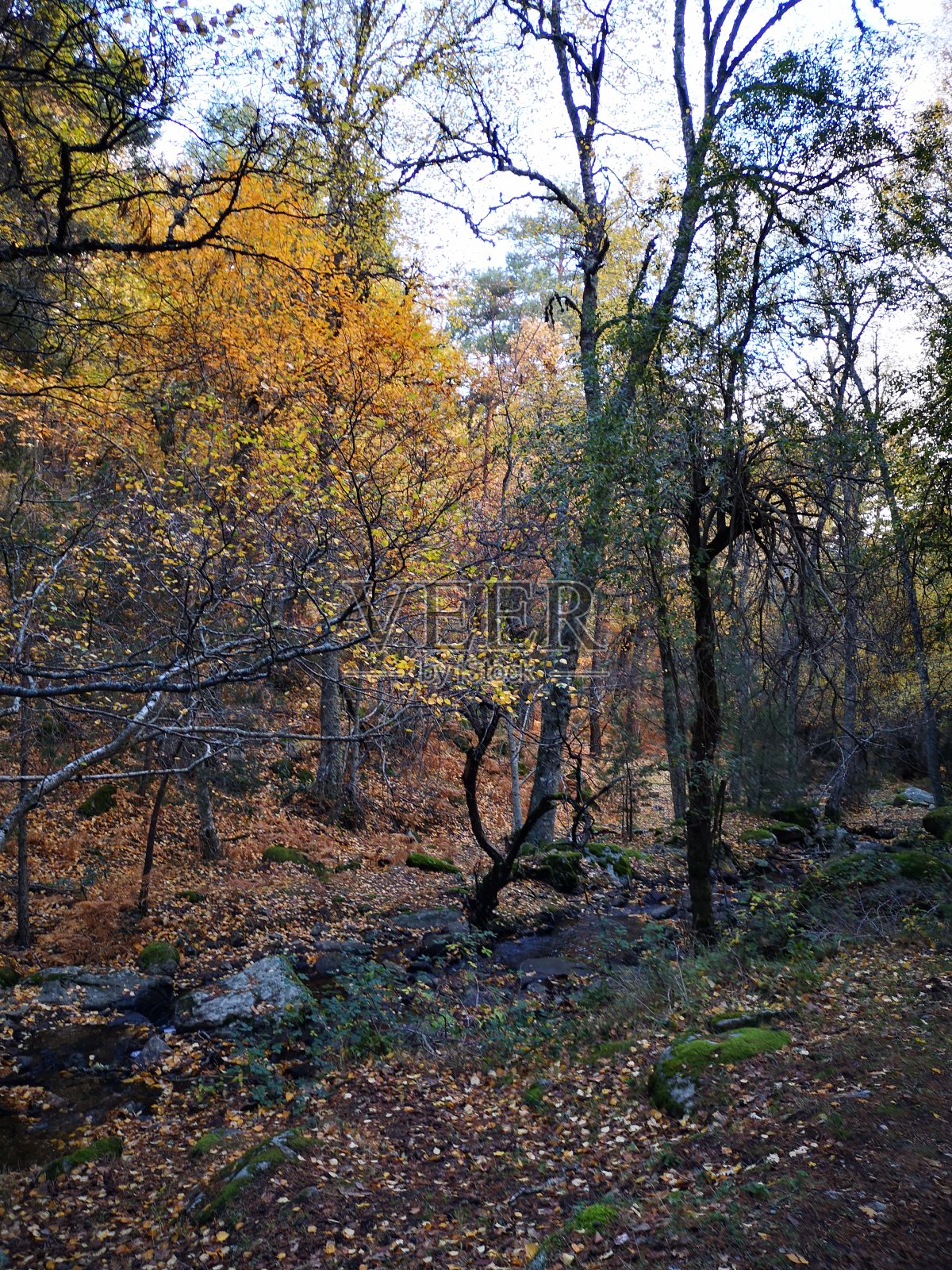 马德里的Canencia港照片摄影图片
