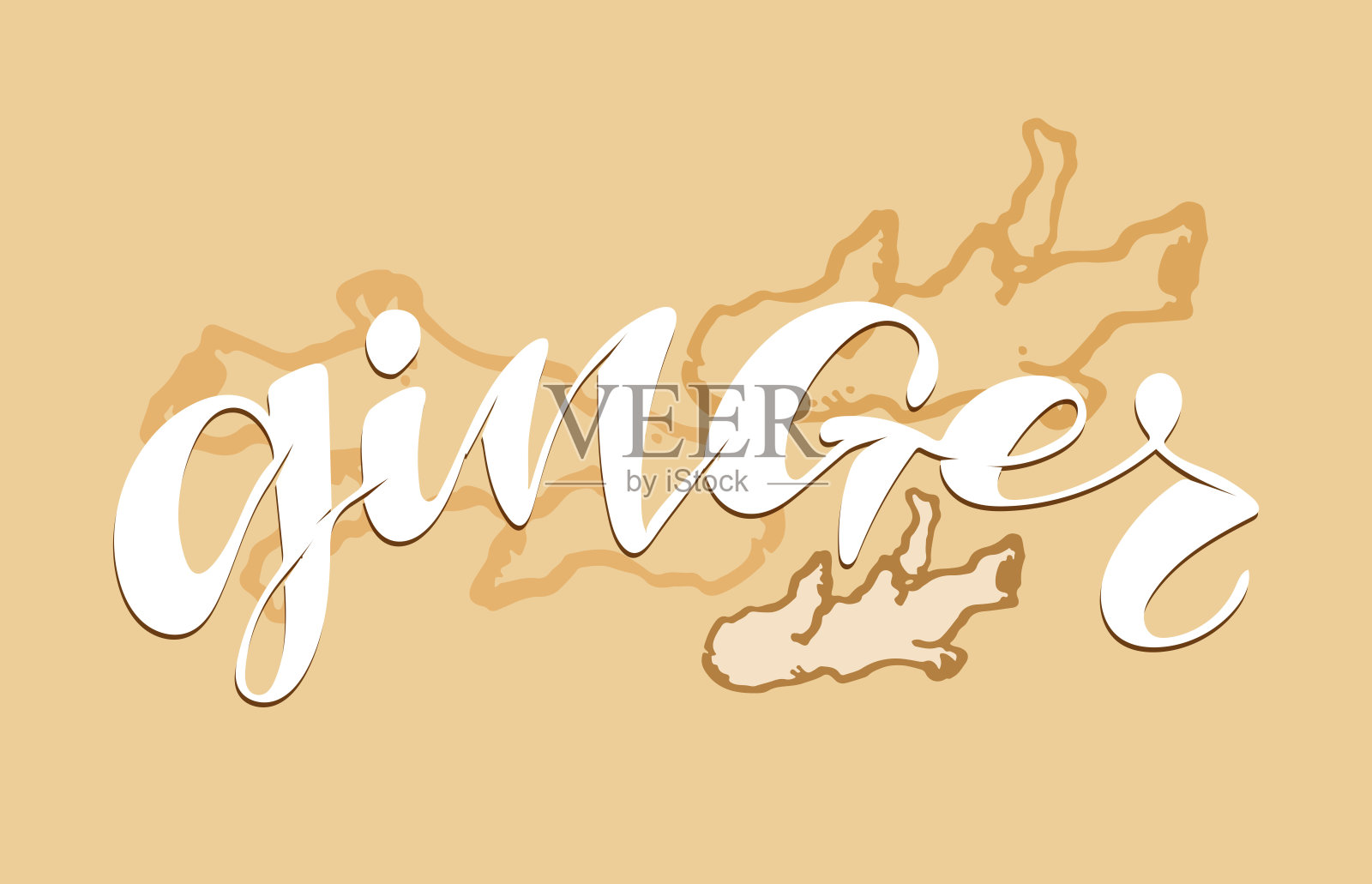 姜-姜面包-可爱手绘涂鸦字母标签,模板设计艺术。设计元素图片