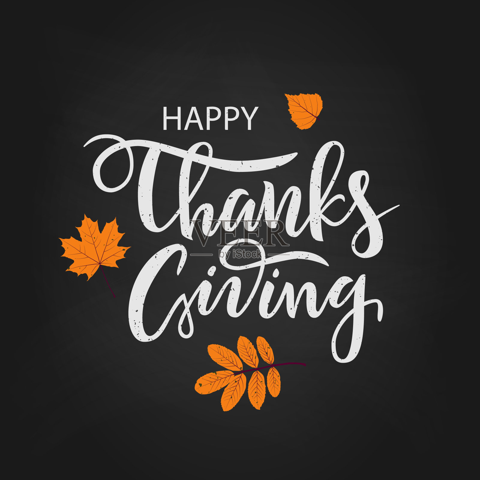 手绘感恩节快乐字体排版海报。插画图片素材