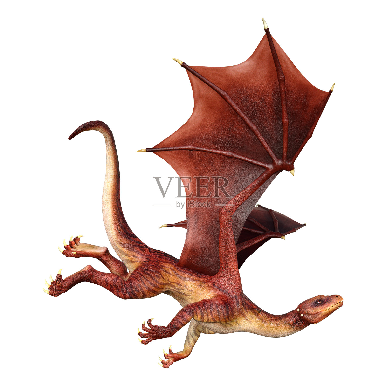 3D插图幻想龙在白色照片摄影图片
