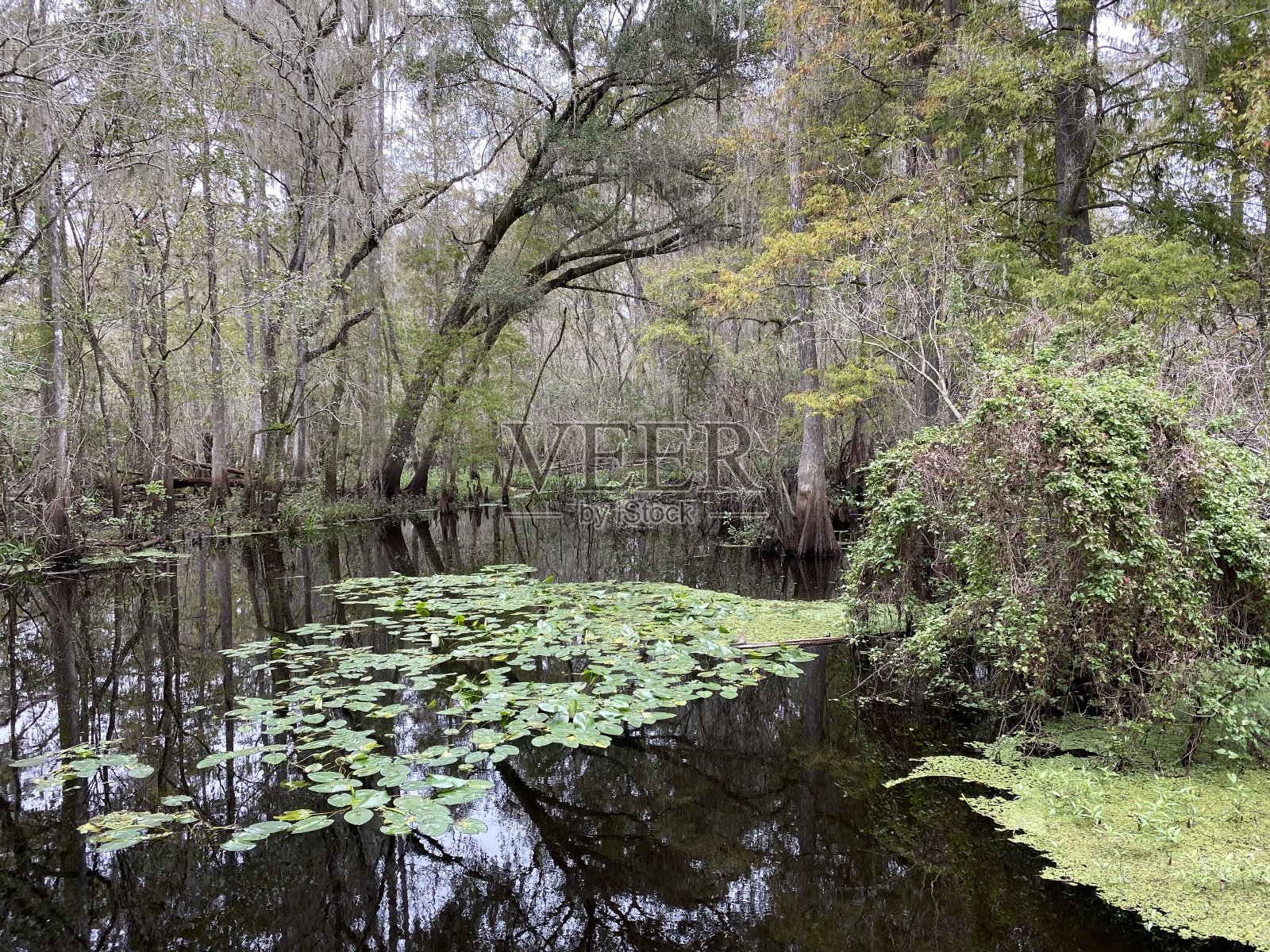 自然走人行道照片摄影图片