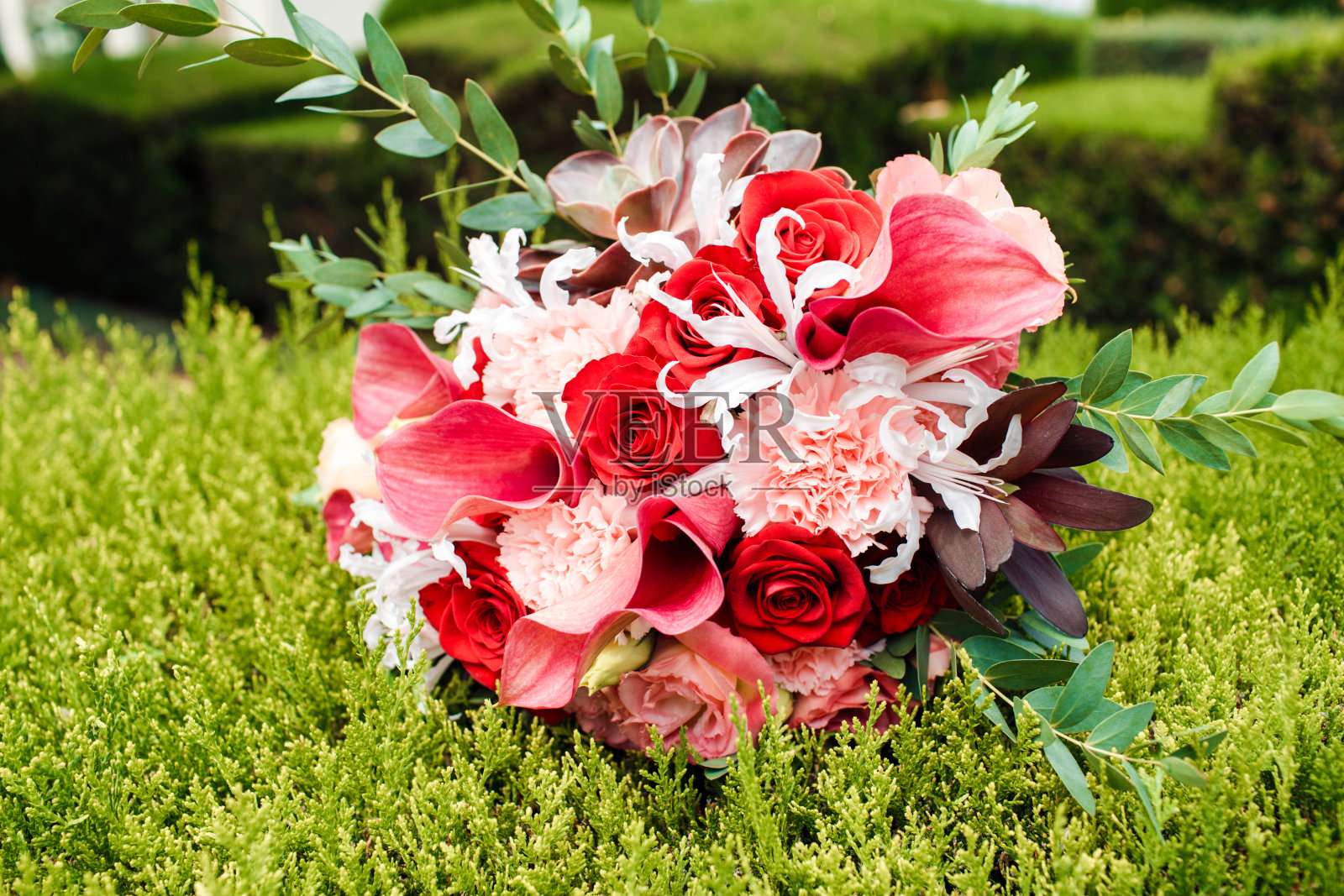 红色的新娘花束,牡丹和玫瑰。婚礼的布景。照片摄影图片