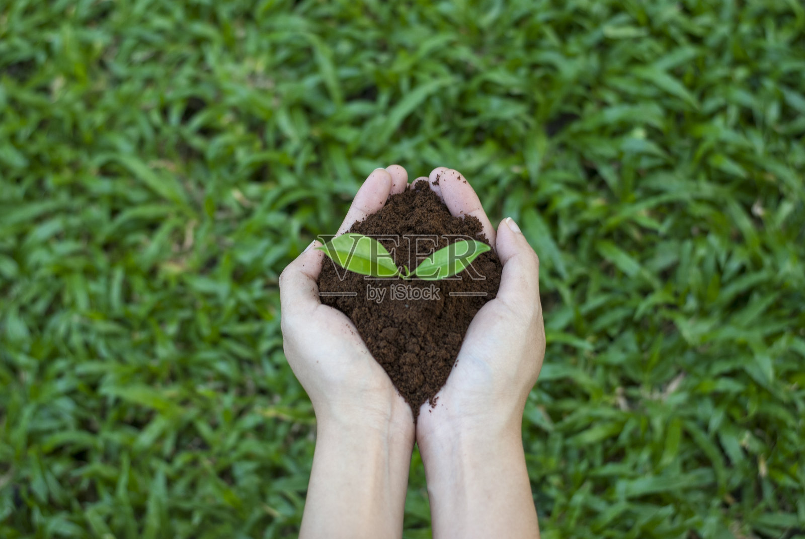 帮助世界,解决环境问题,保护自然关爱世界的理念。照片摄影图片