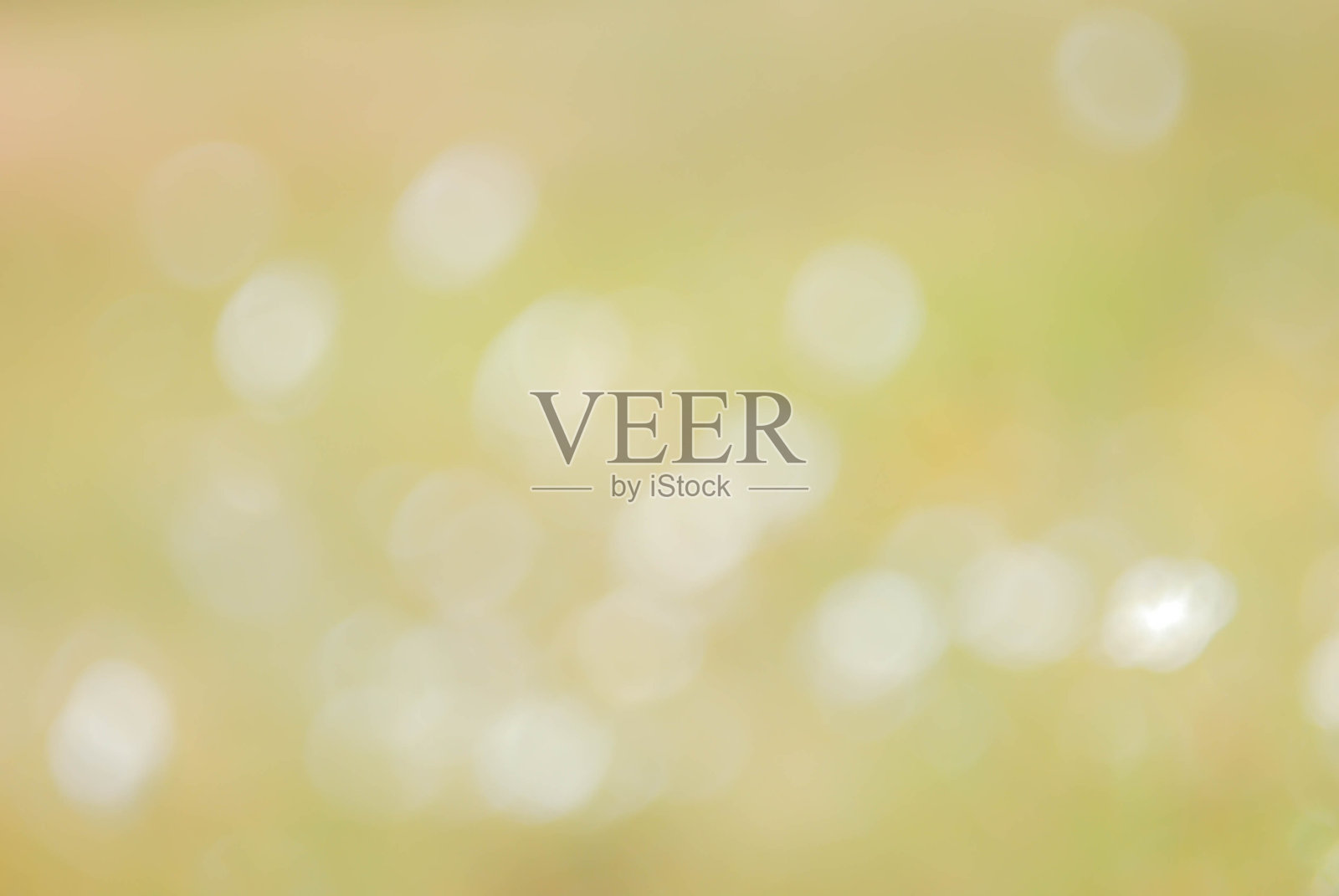 野花,模糊的,白色的。夏天的背景,景观。空白、模式照片摄影图片