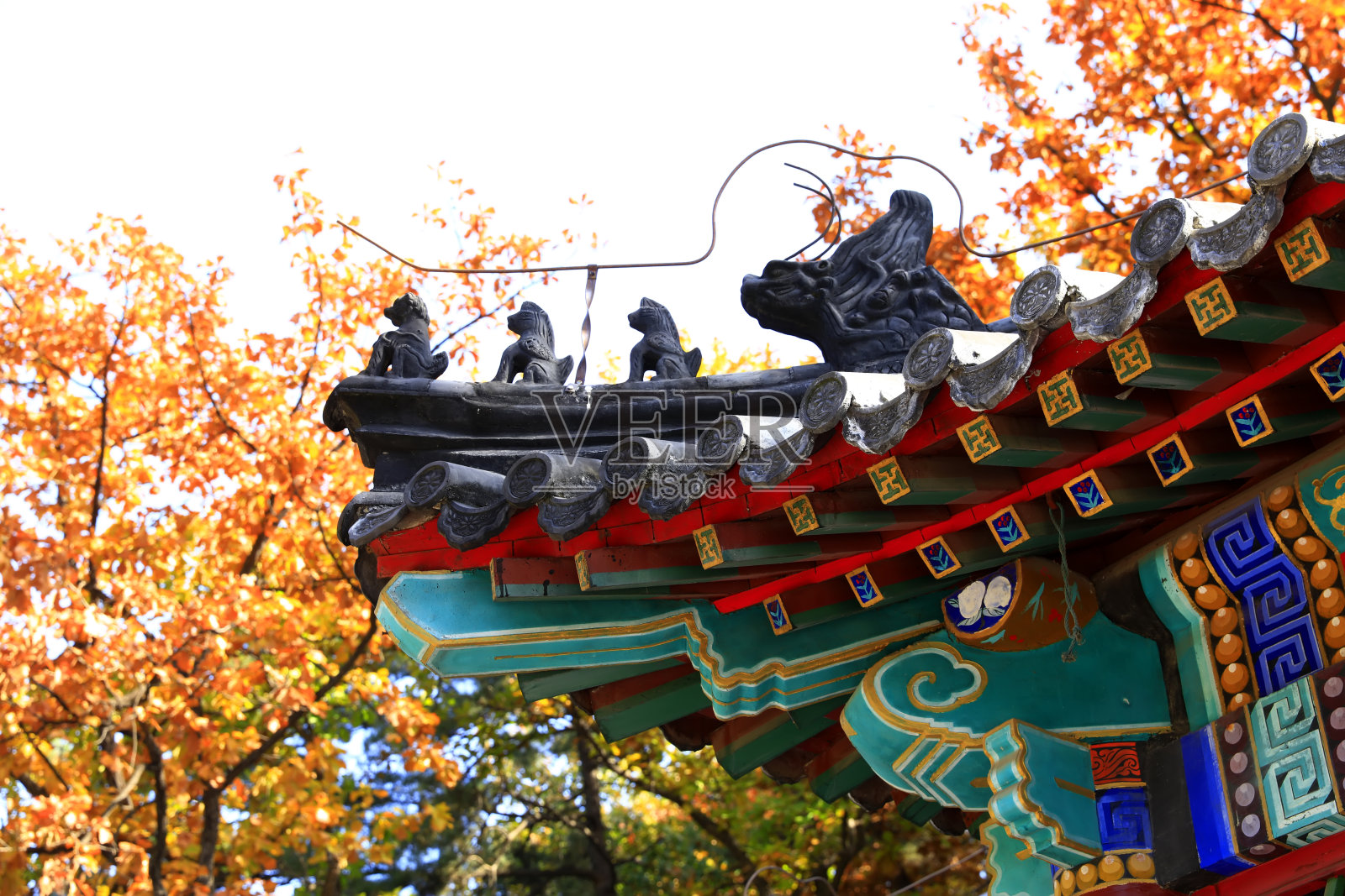 中国古代建筑的屋檐照片摄影图片