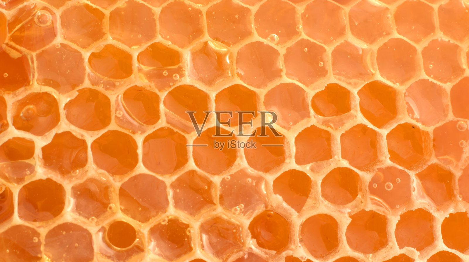 蜂房是天然蜂蜡质创造的照片摄影图片