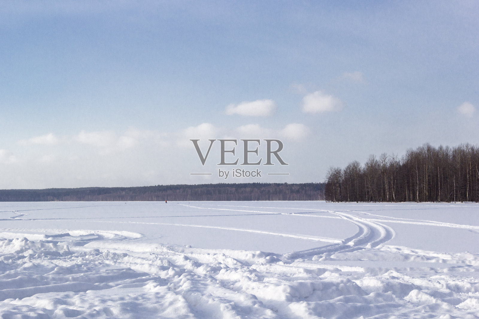 在阳光明媚的霜冻的一天,在地平线上的皑皑白雪和森林的冬季景观全景。照片摄影图片