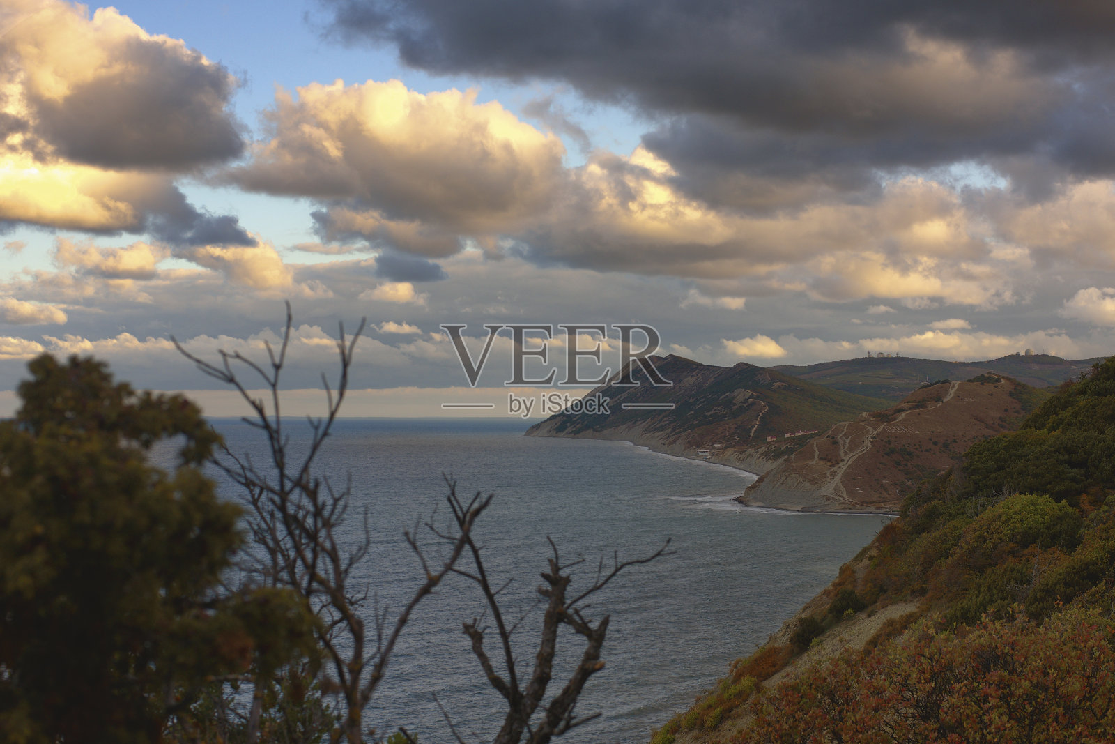 俄罗斯秋季森林Sukko照片摄影图片