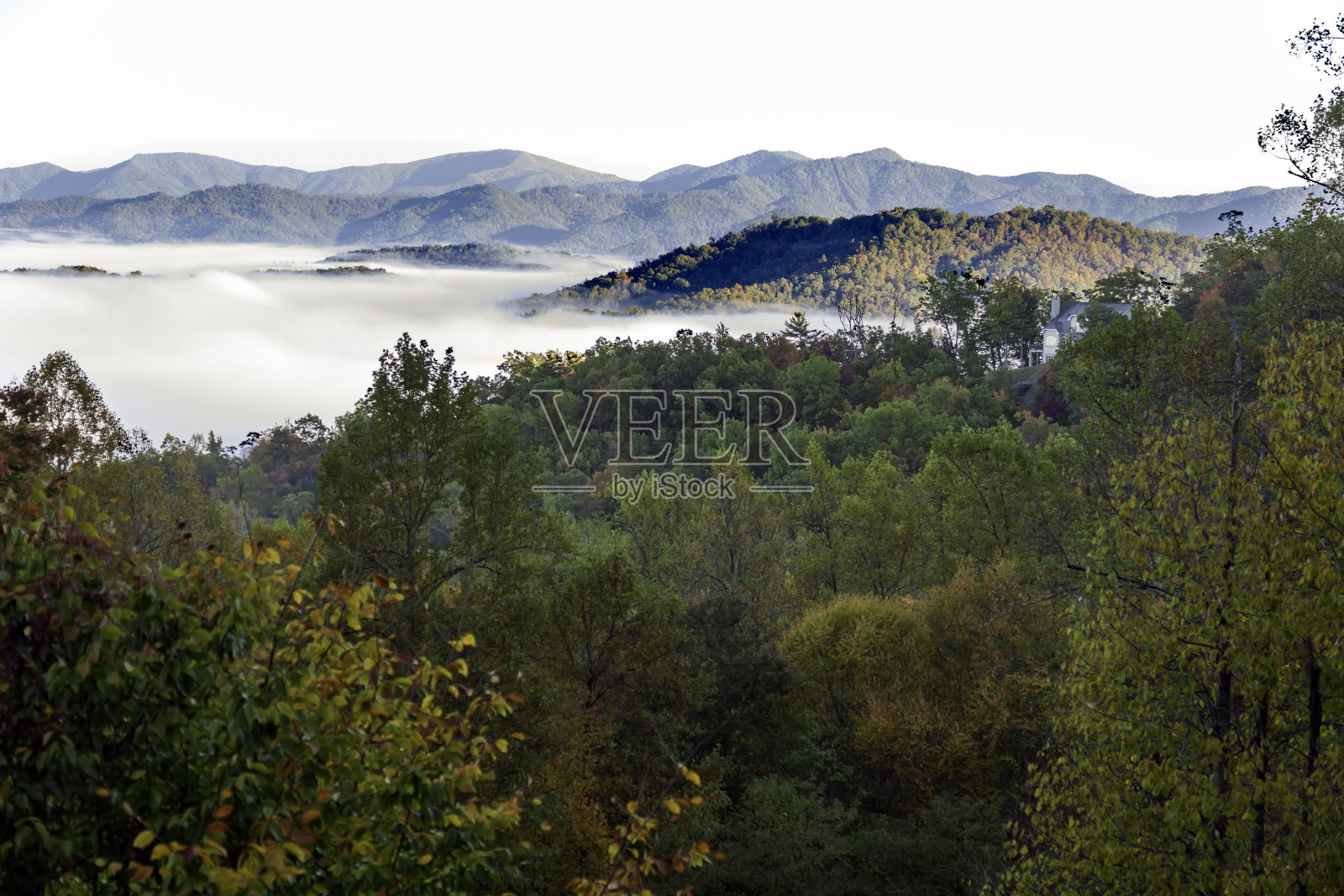 北卡罗莱纳阿巴拉契亚山脉附近的一个山谷里,秋天清晨的雾笼罩着令人惊叹的景色照片摄影图片