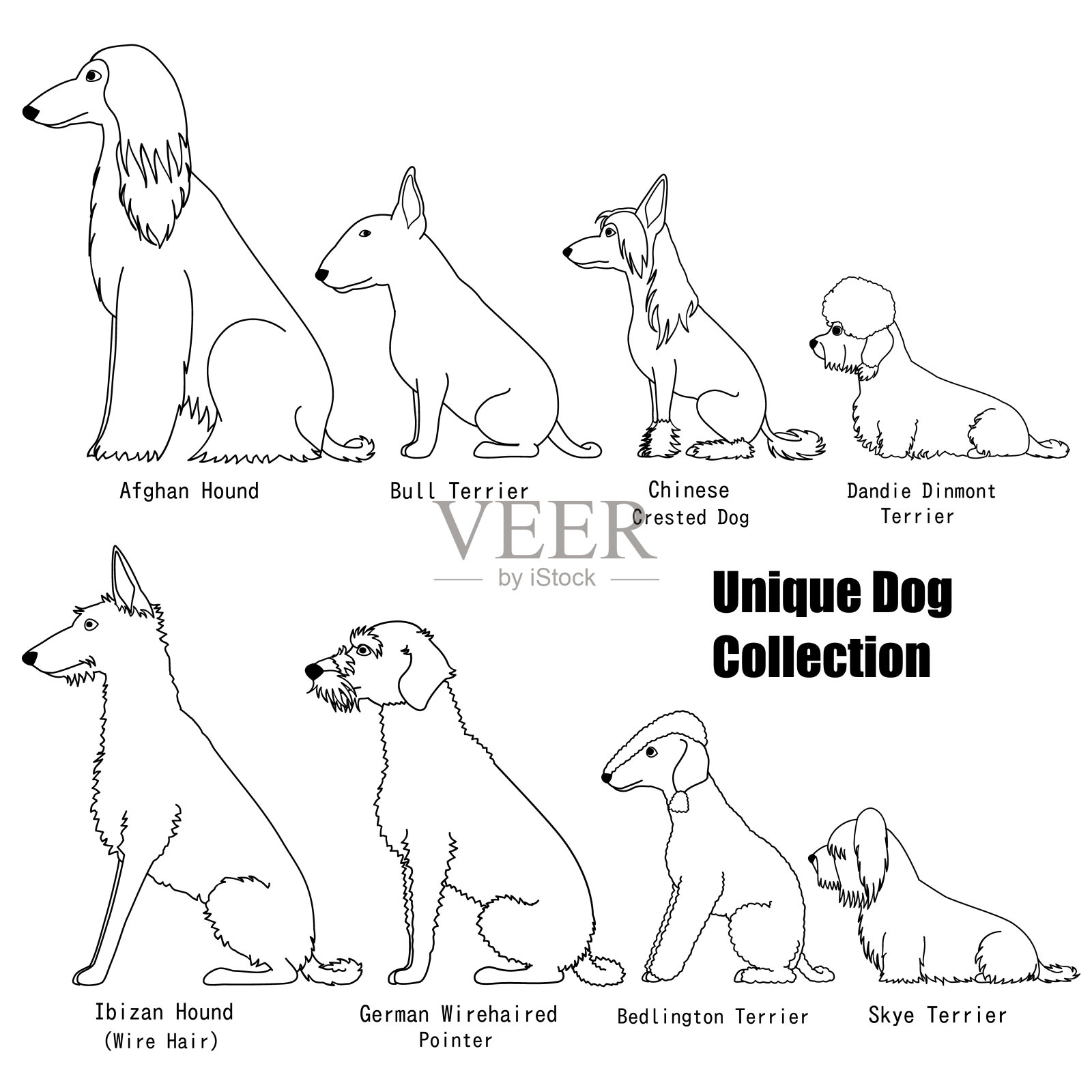 独特的犬种组合设计元素图片