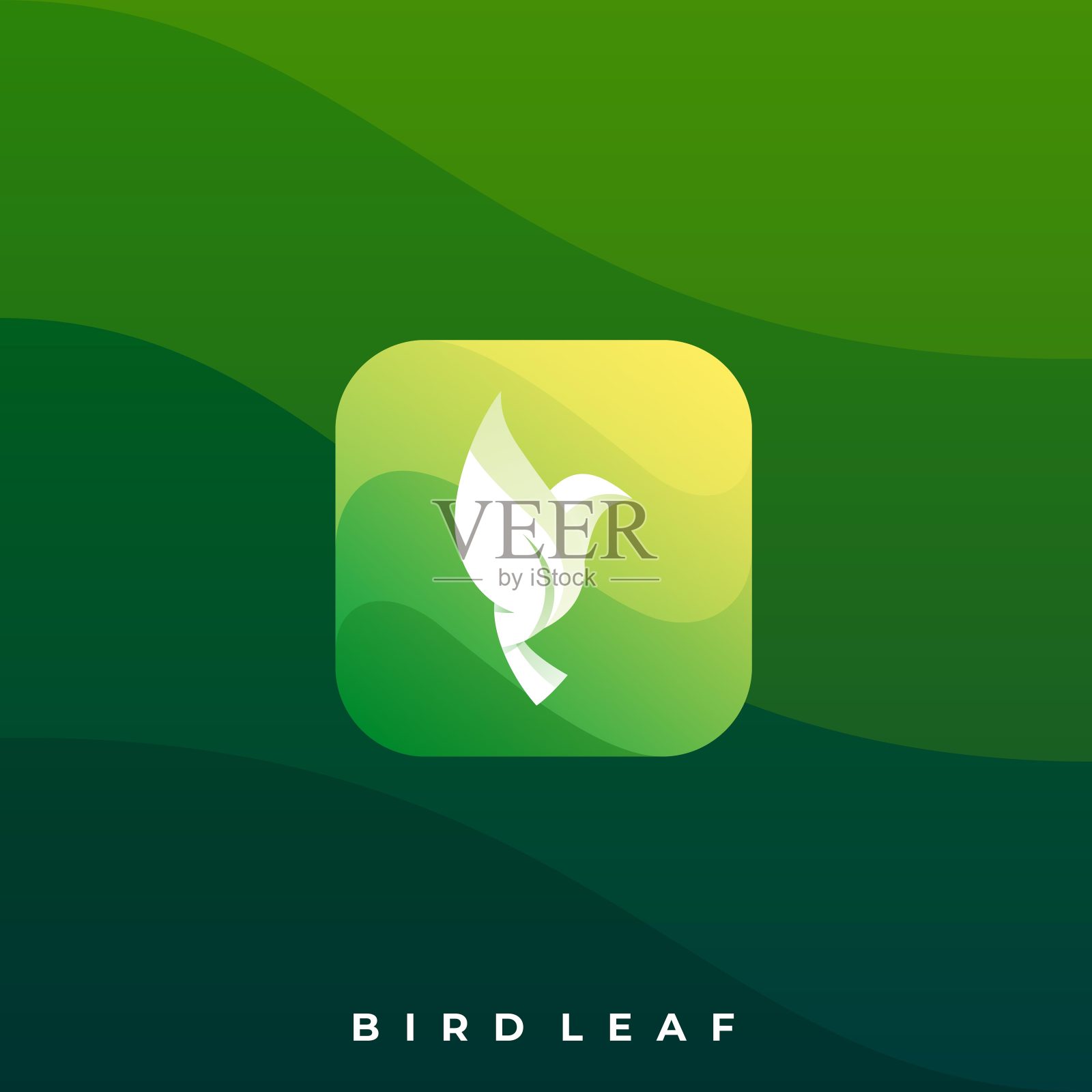 鸟图标插图矢量设计模板插画图片素材