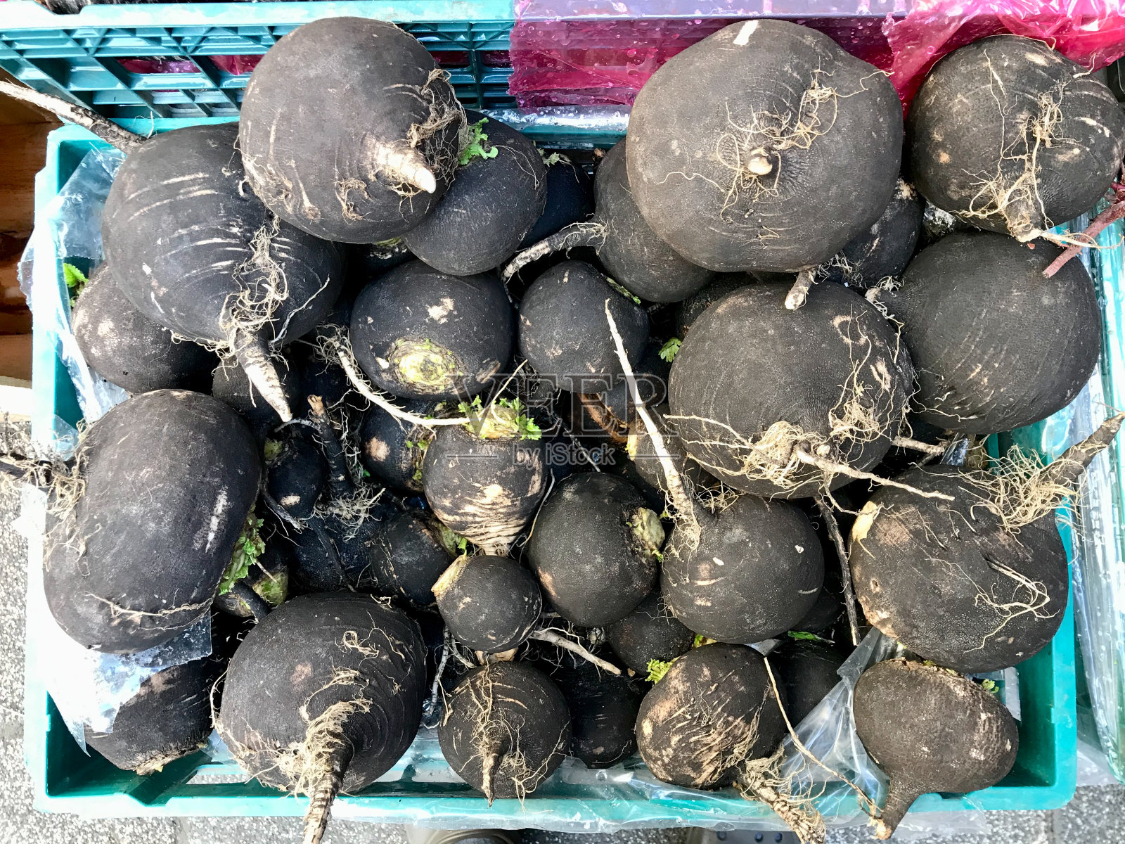 有机黑萝卜在市集出售。照片摄影图片
