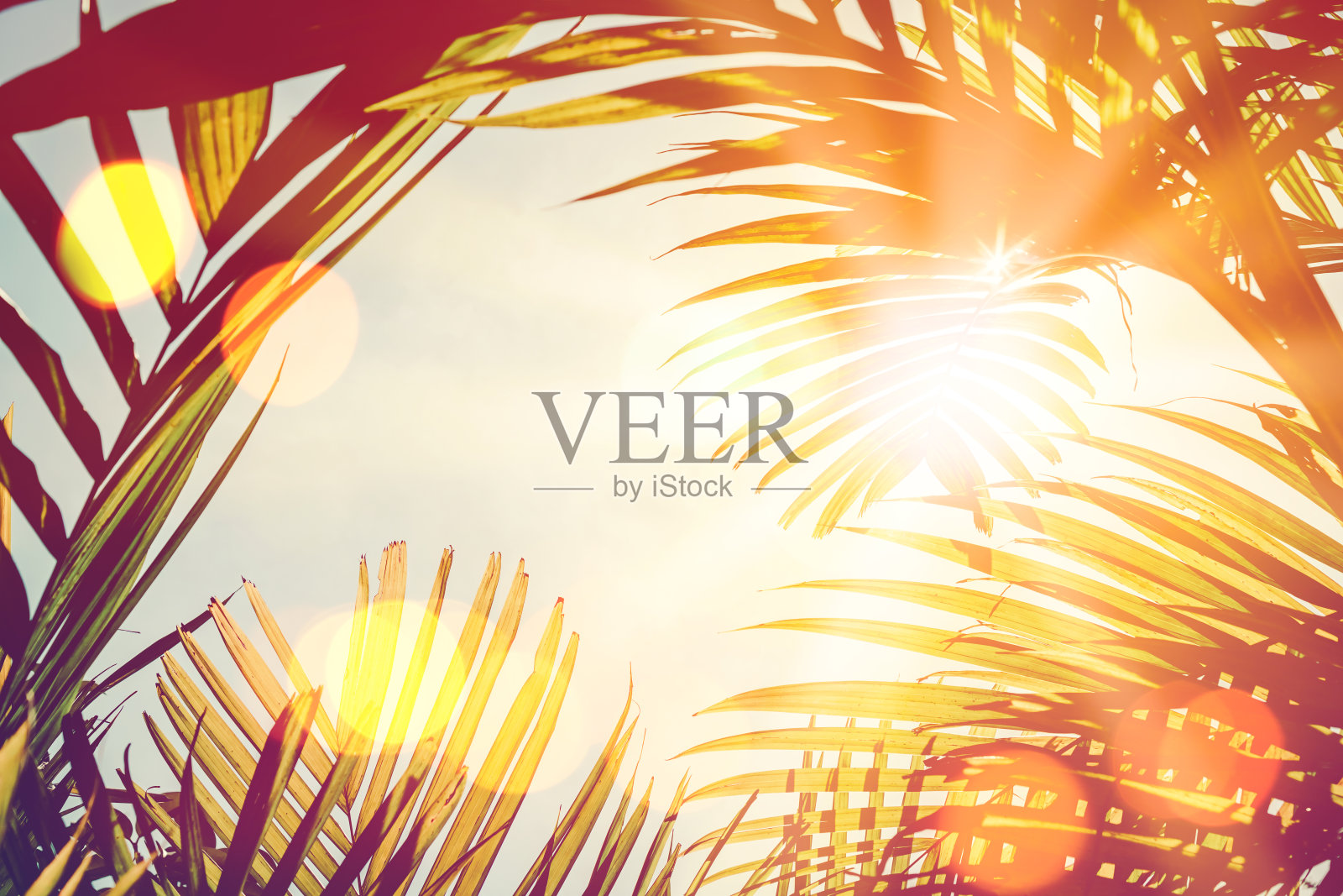 暑期旅游与自然探险理念。热带棕榈树与彩色的散景太阳光在日落天空云抽象的背景。照片摄影图片