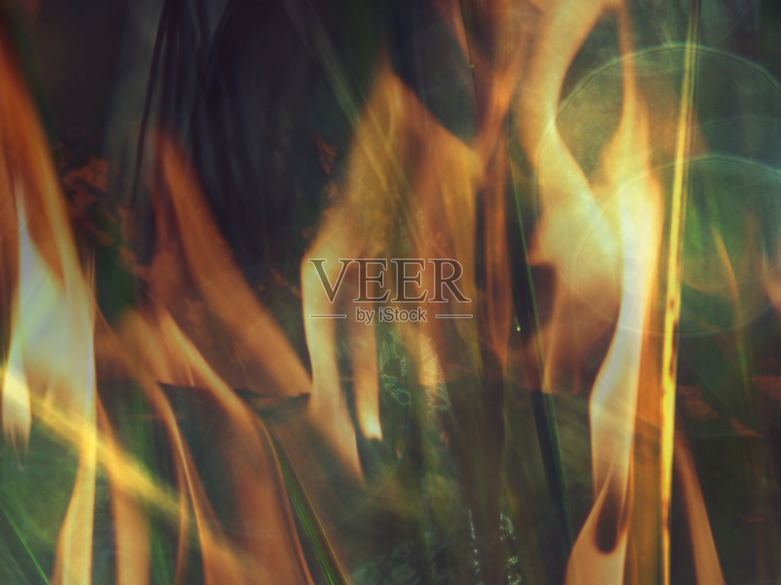 早晨的草和水滴照片摄影图片