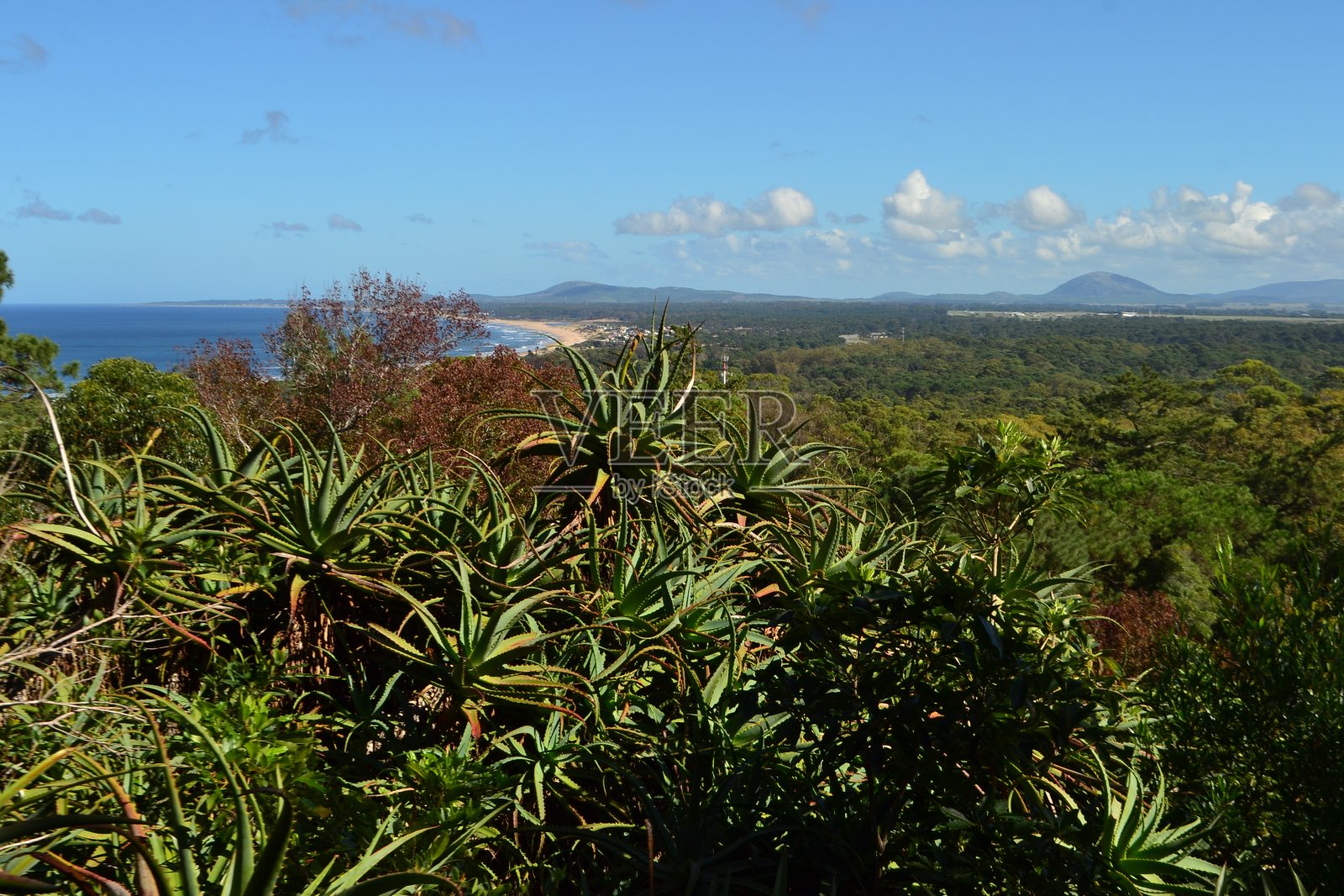 马尔多纳多的山丘照片摄影图片