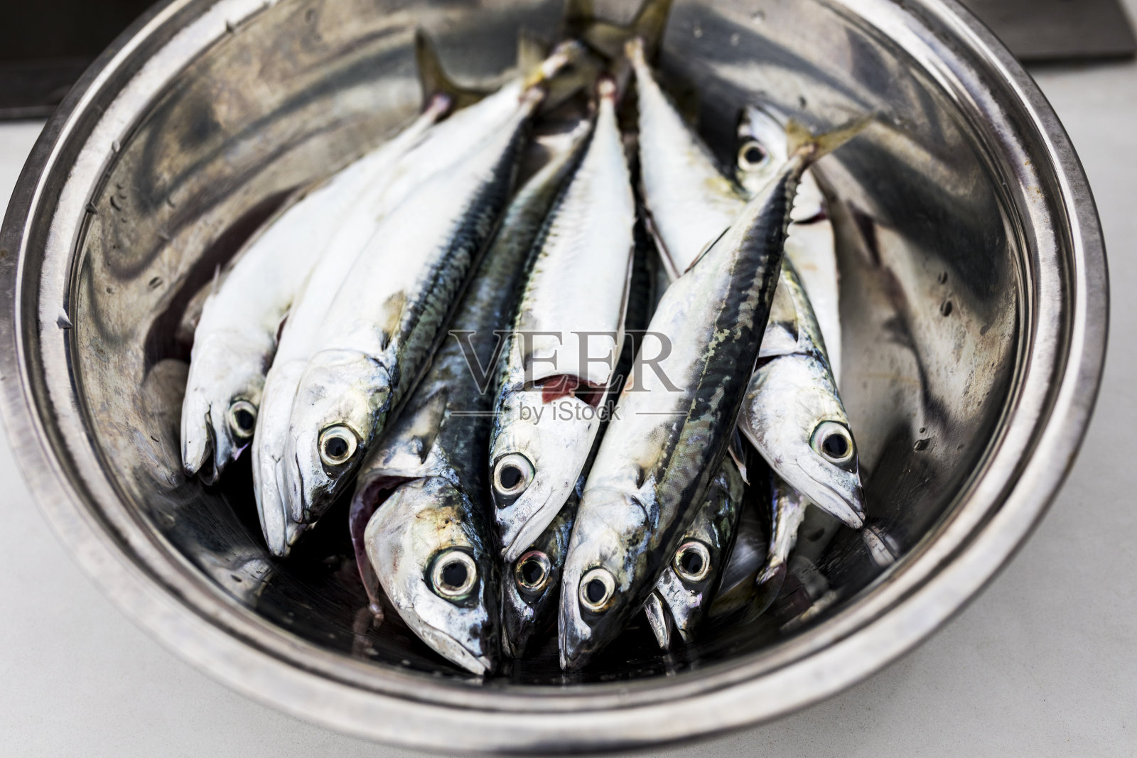 盆里的鲜鱼照片摄影图片