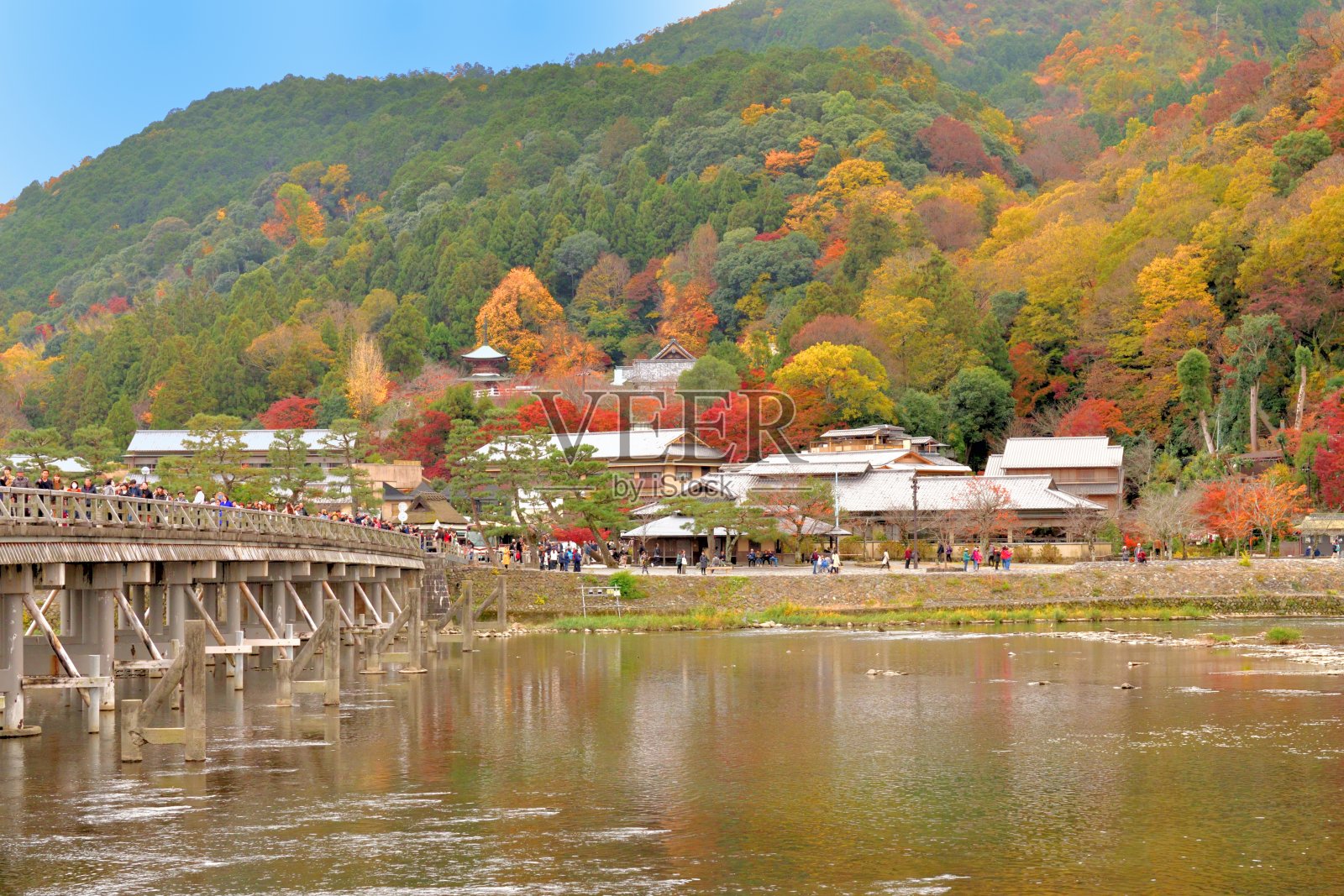 日本京都岚山地区的秋叶色彩照片摄影图片