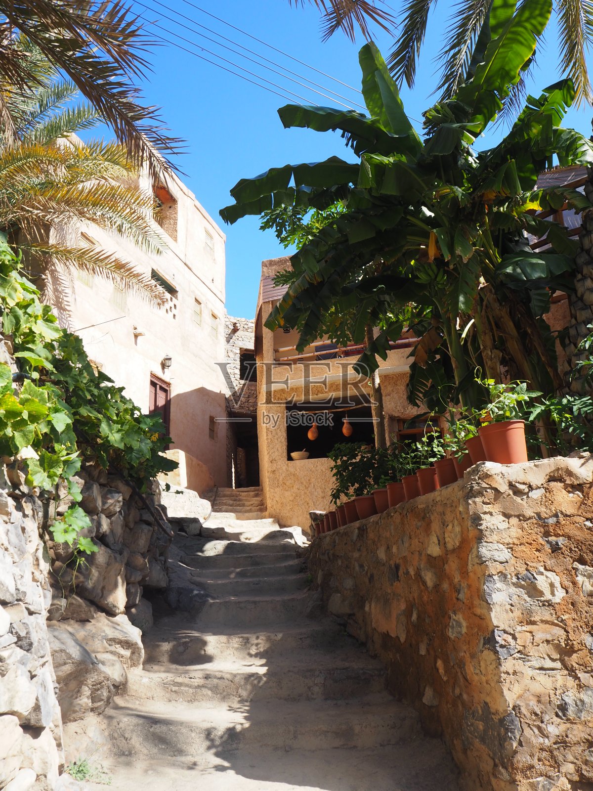 阿曼米斯法特阿布雷耶恩村的棕榈树林照片摄影图片