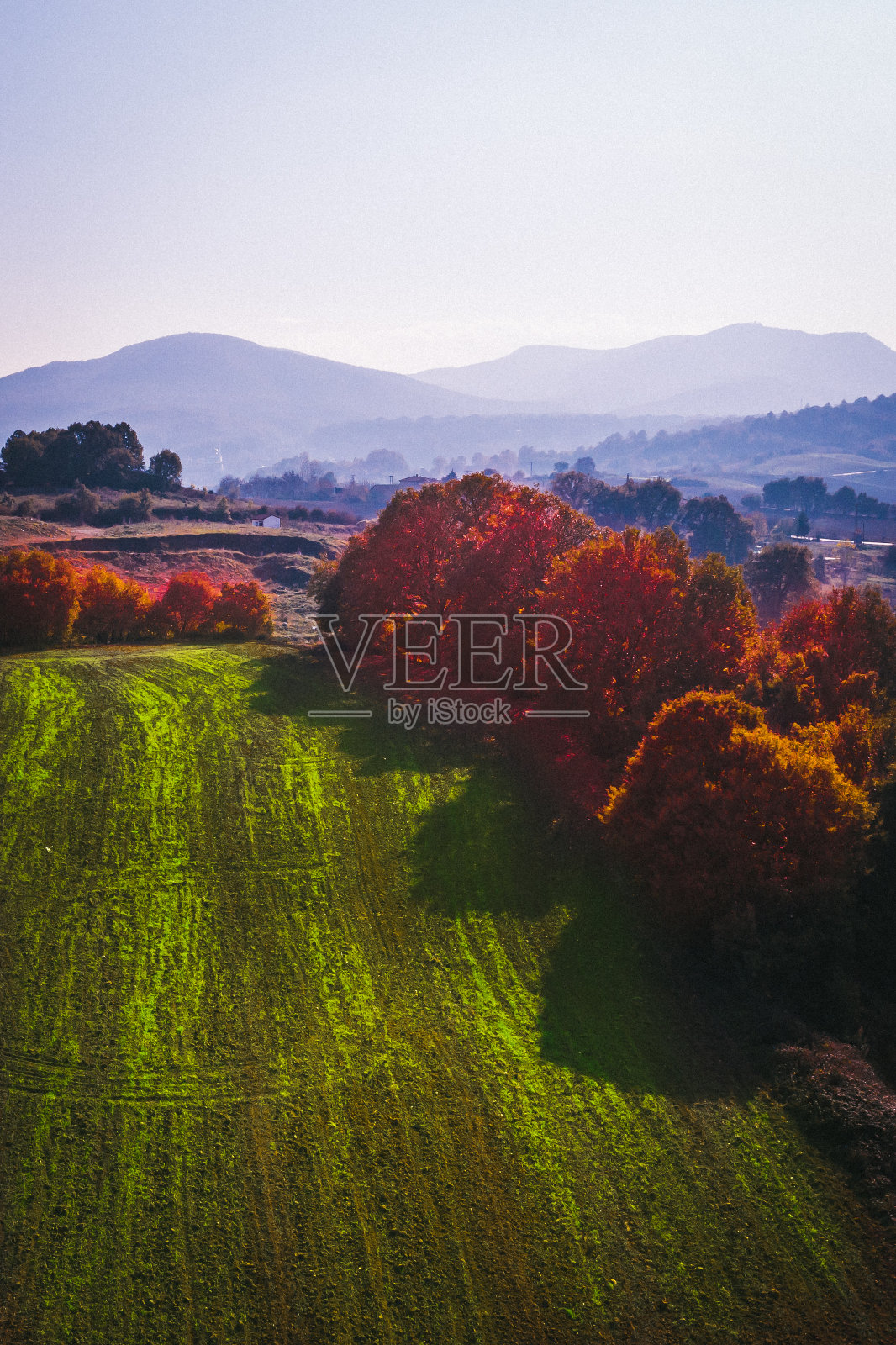 秋天的红树照片摄影图片