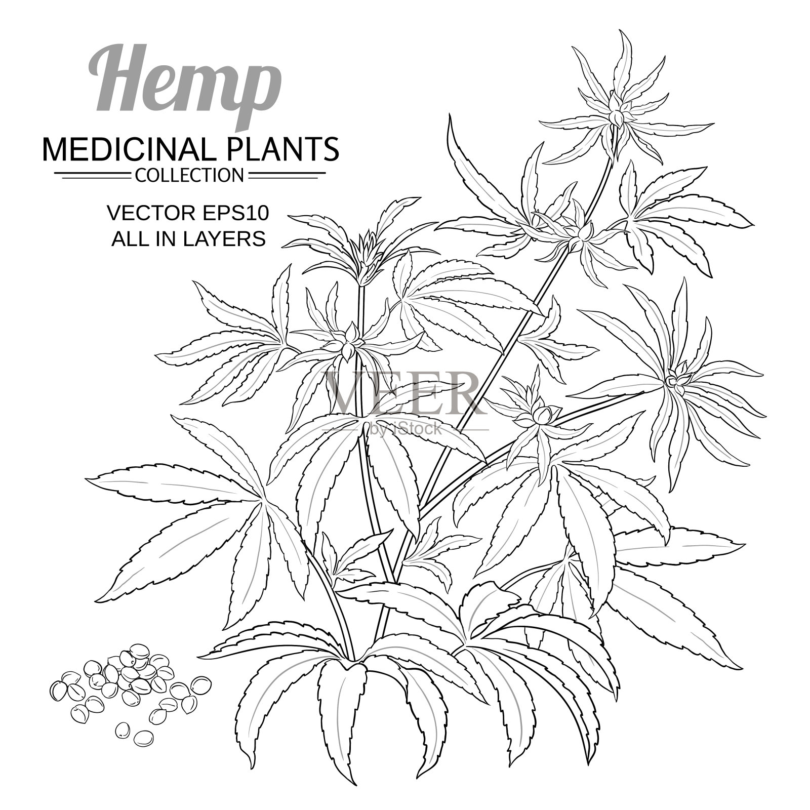 麻向量组插画图片素材