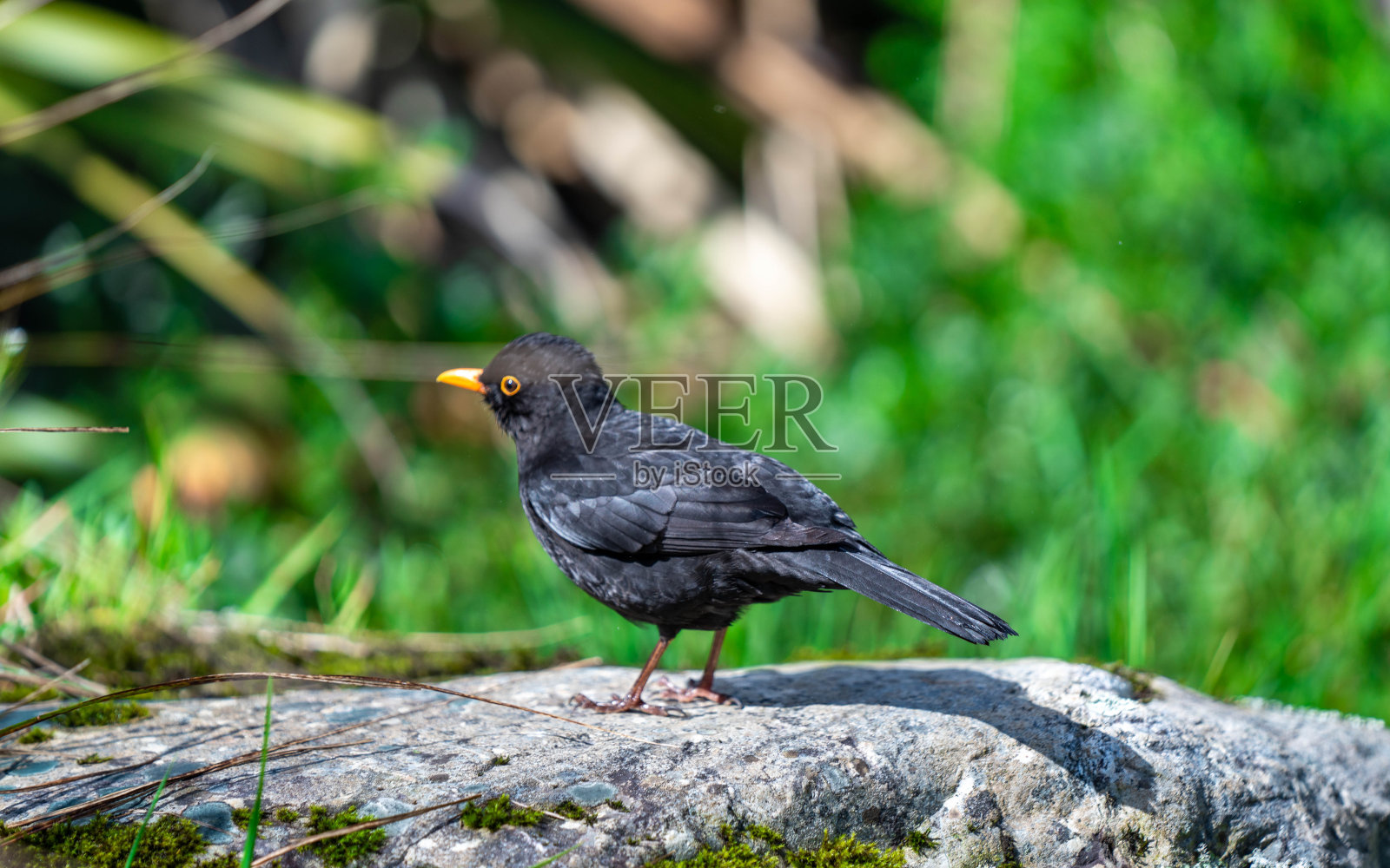 假期的照片照片摄影图片