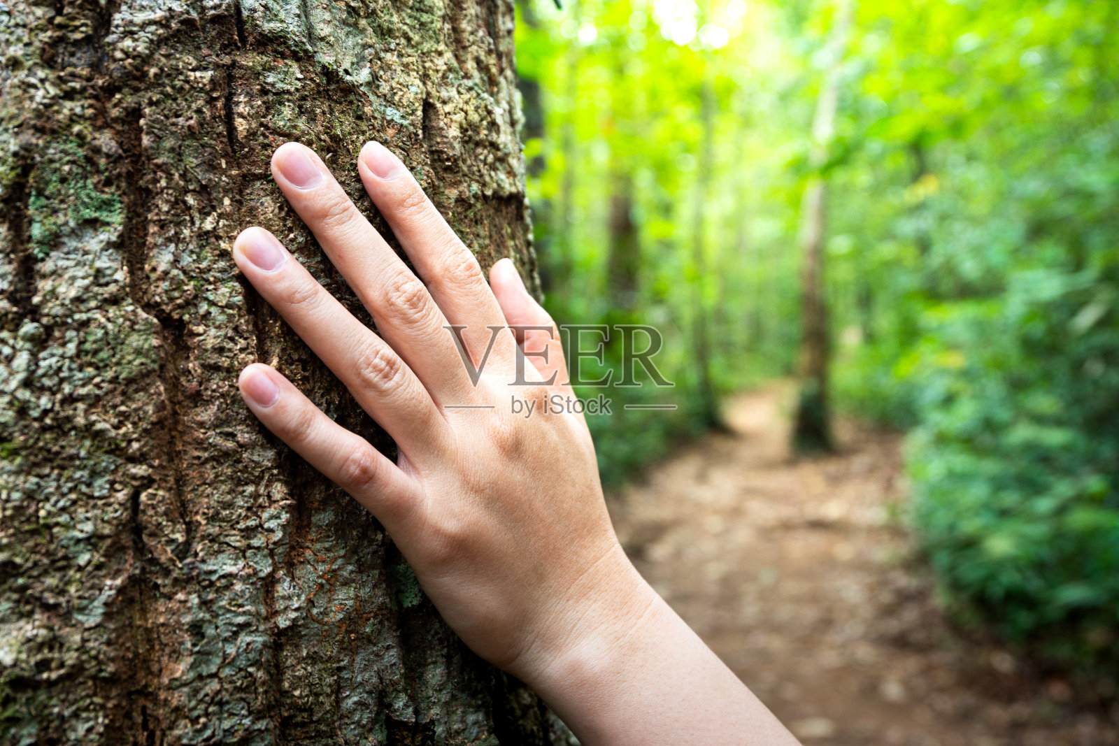 冒险旅行,迷失在丛林中。照片摄影图片