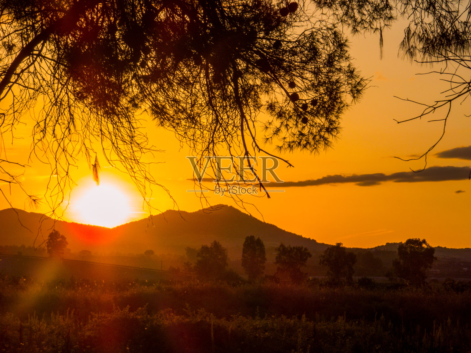新星Siri,意大利照片摄影图片